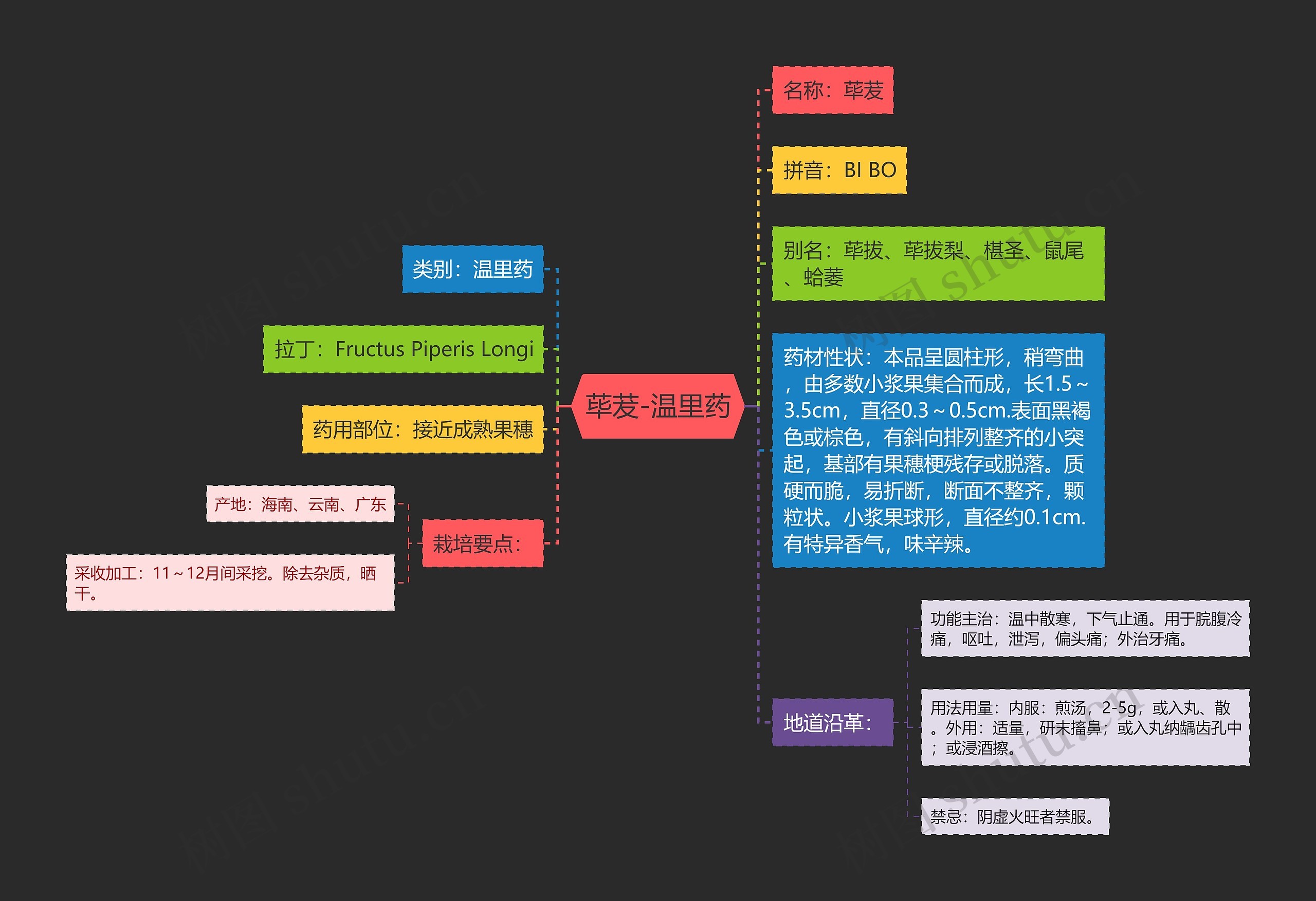 荜茇-温里药 荜茇-温里药