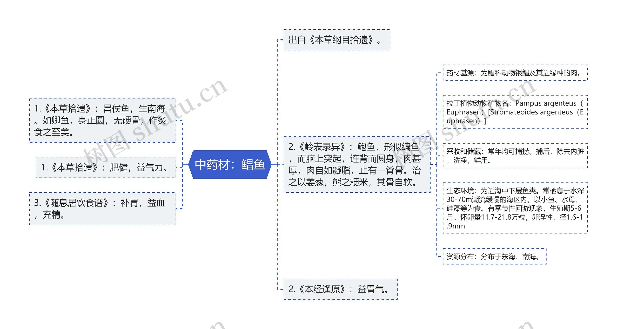 中药材：鲳鱼思维导图