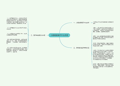 小肠破裂属于什么伤害