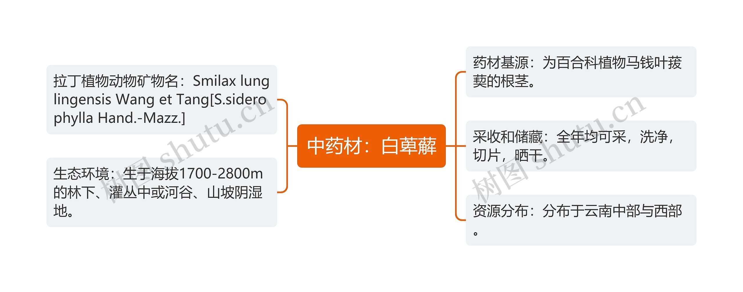 中药材：白萆薢思维导图