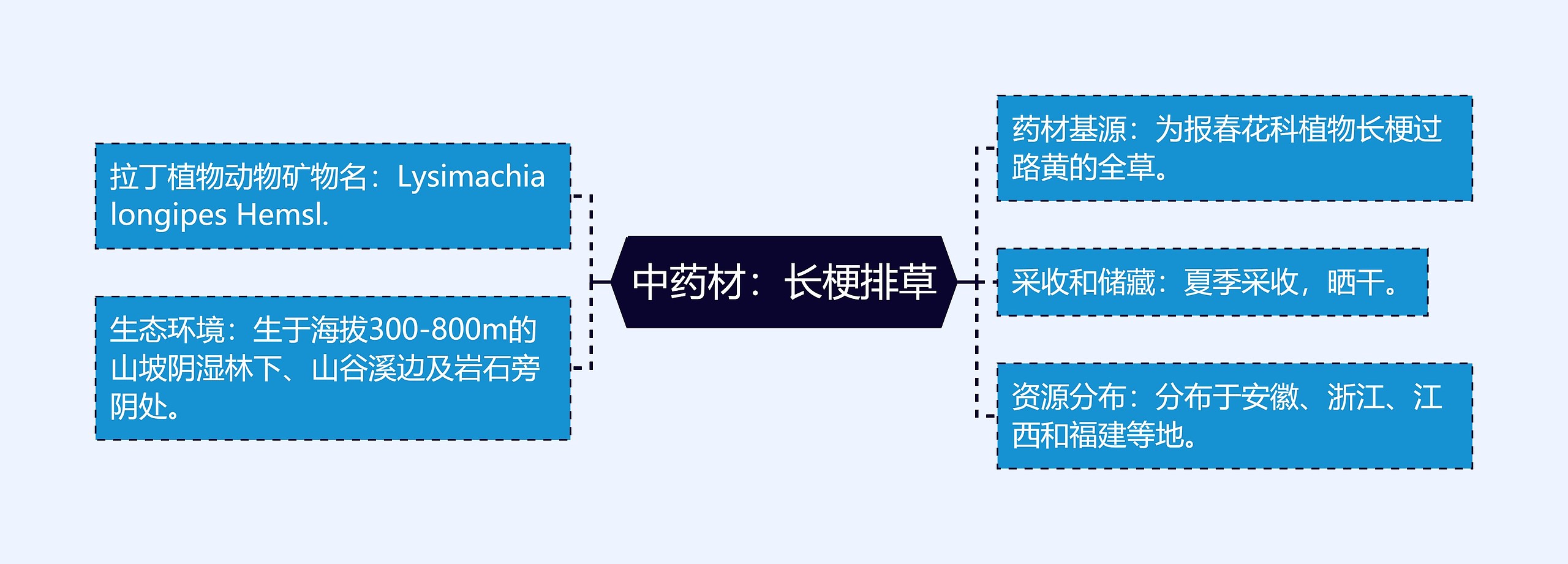 中药材：长梗排草思维导图