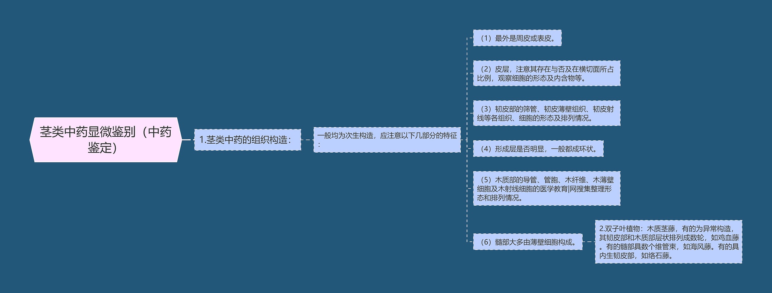 茎类中药显微鉴别（中药鉴定）思维导图