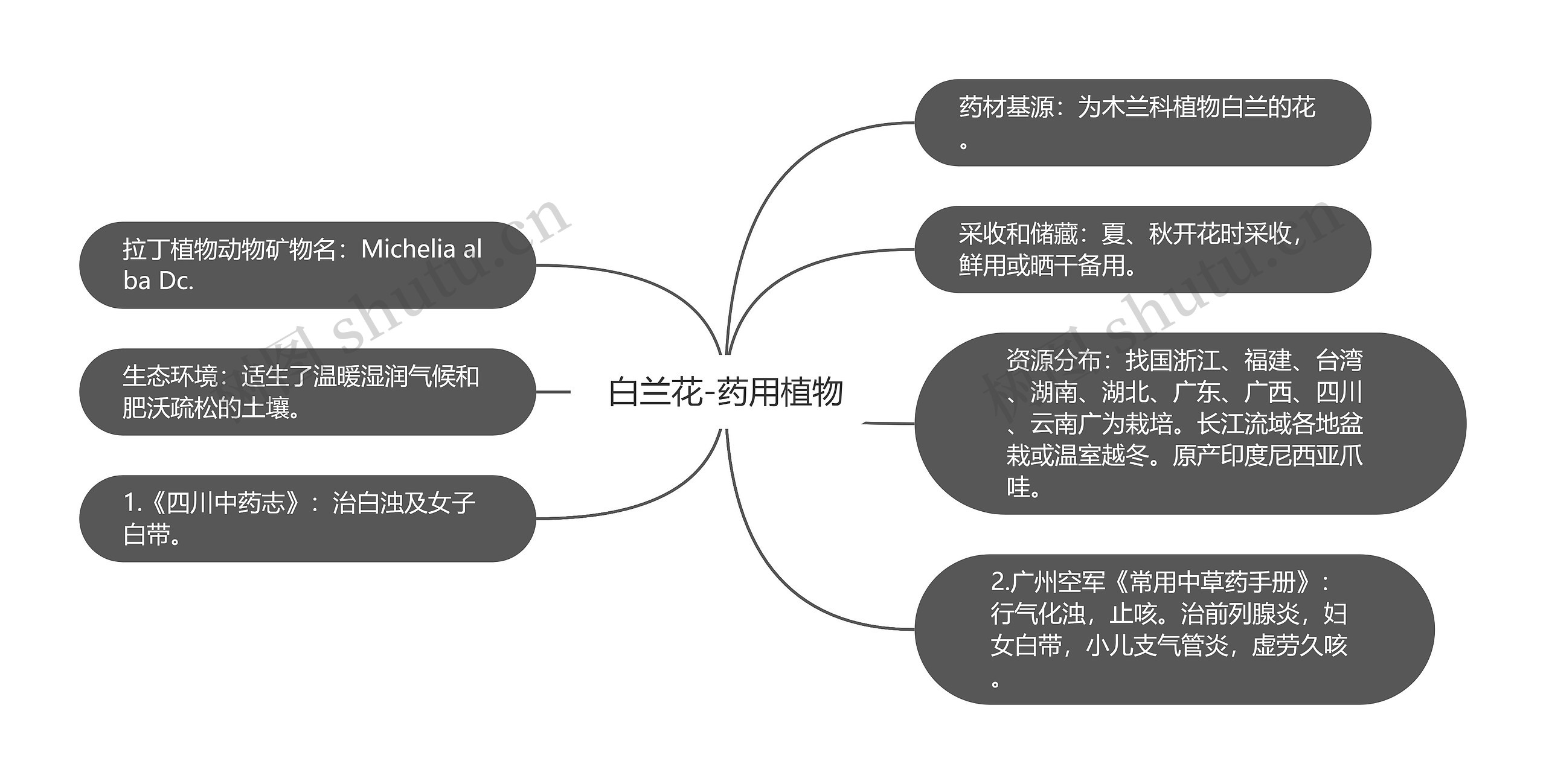 白兰花-药用植物思维导图