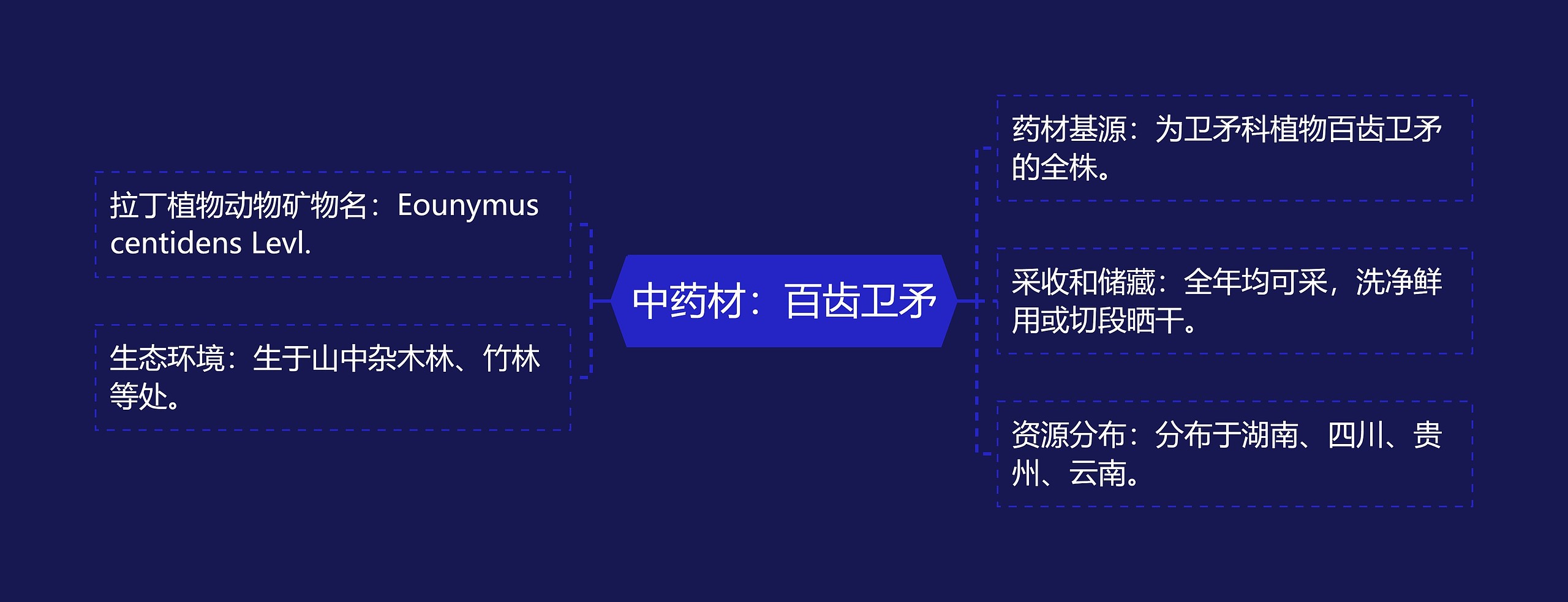 中药材：百齿卫矛思维导图