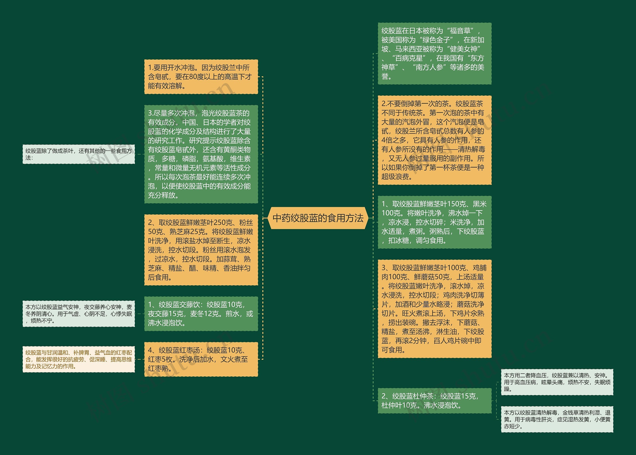 中药绞股蓝的食用方法思维导图