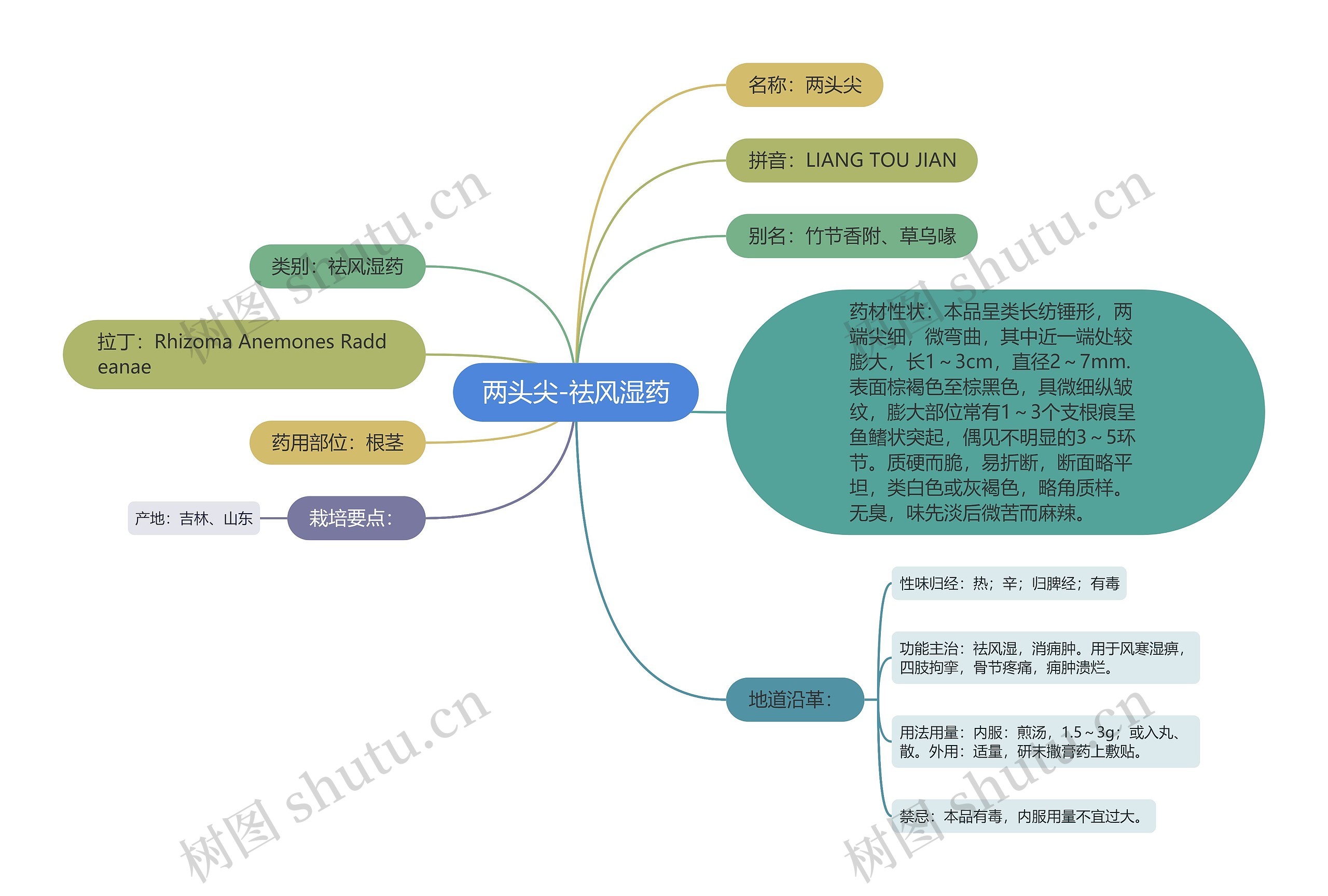 两头尖-祛风湿药思维导图