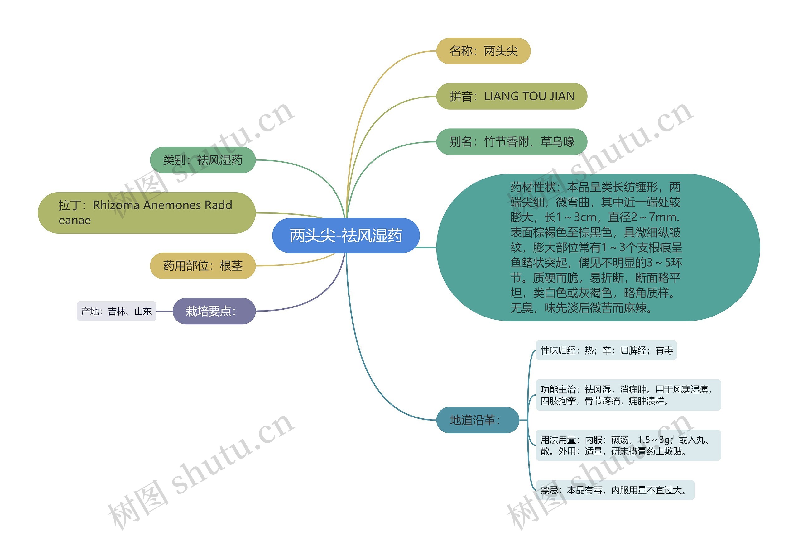 两头尖-祛风湿药 两头尖-祛风湿药