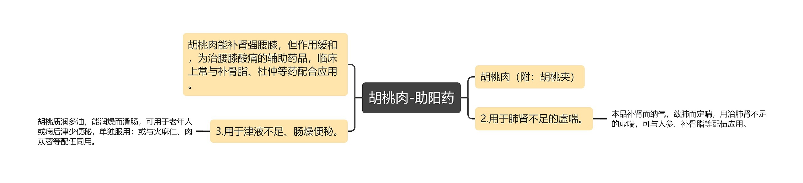 胡桃肉-助阳药思维导图