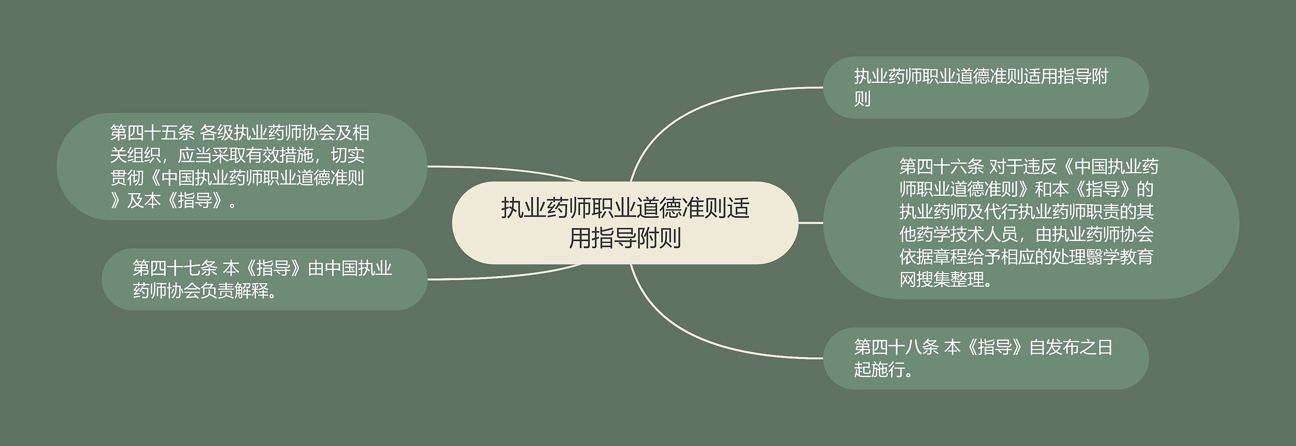 执业药师职业道德准则适用指导附则