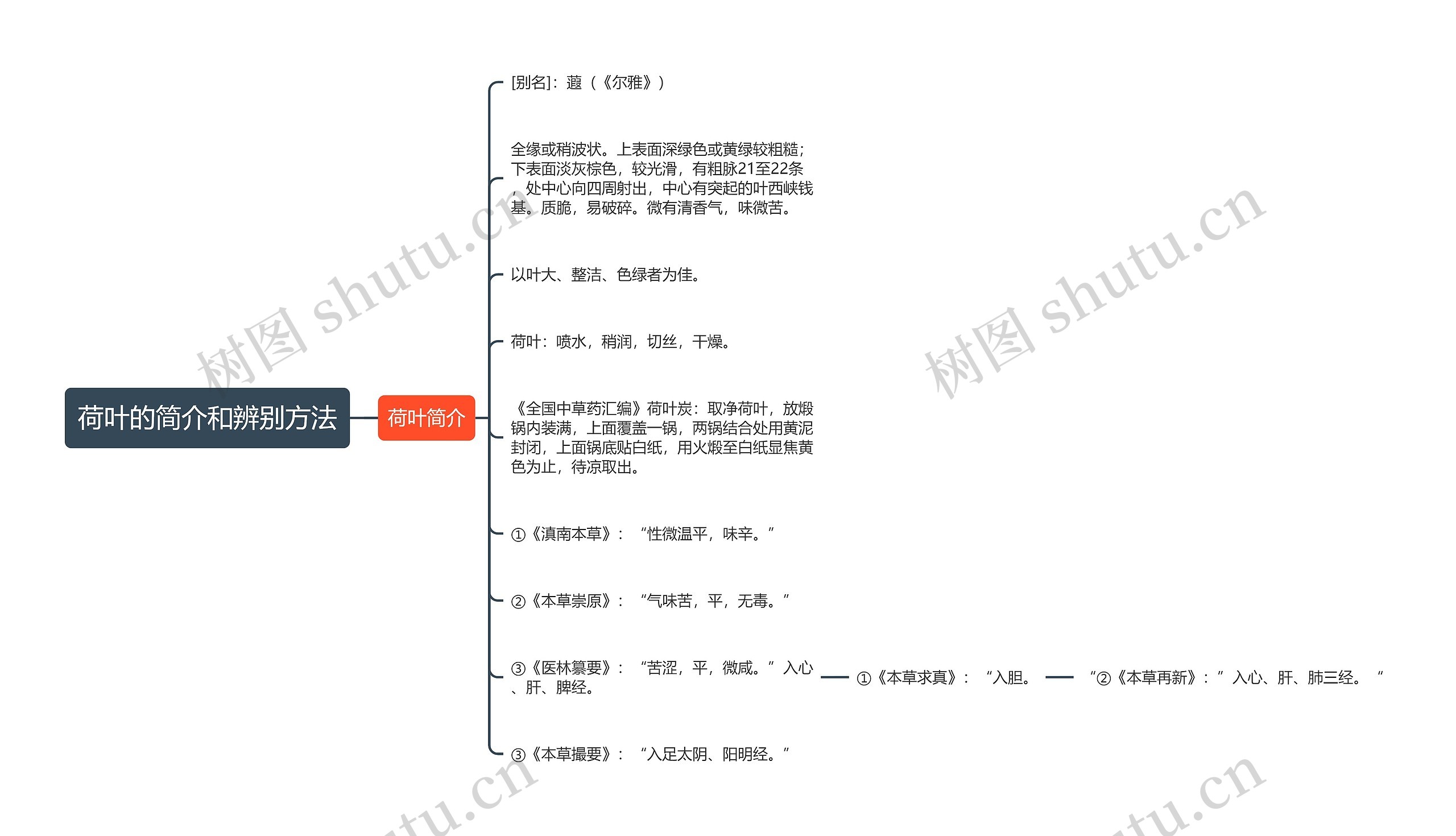 荷叶的简介和辨别方法思维导图