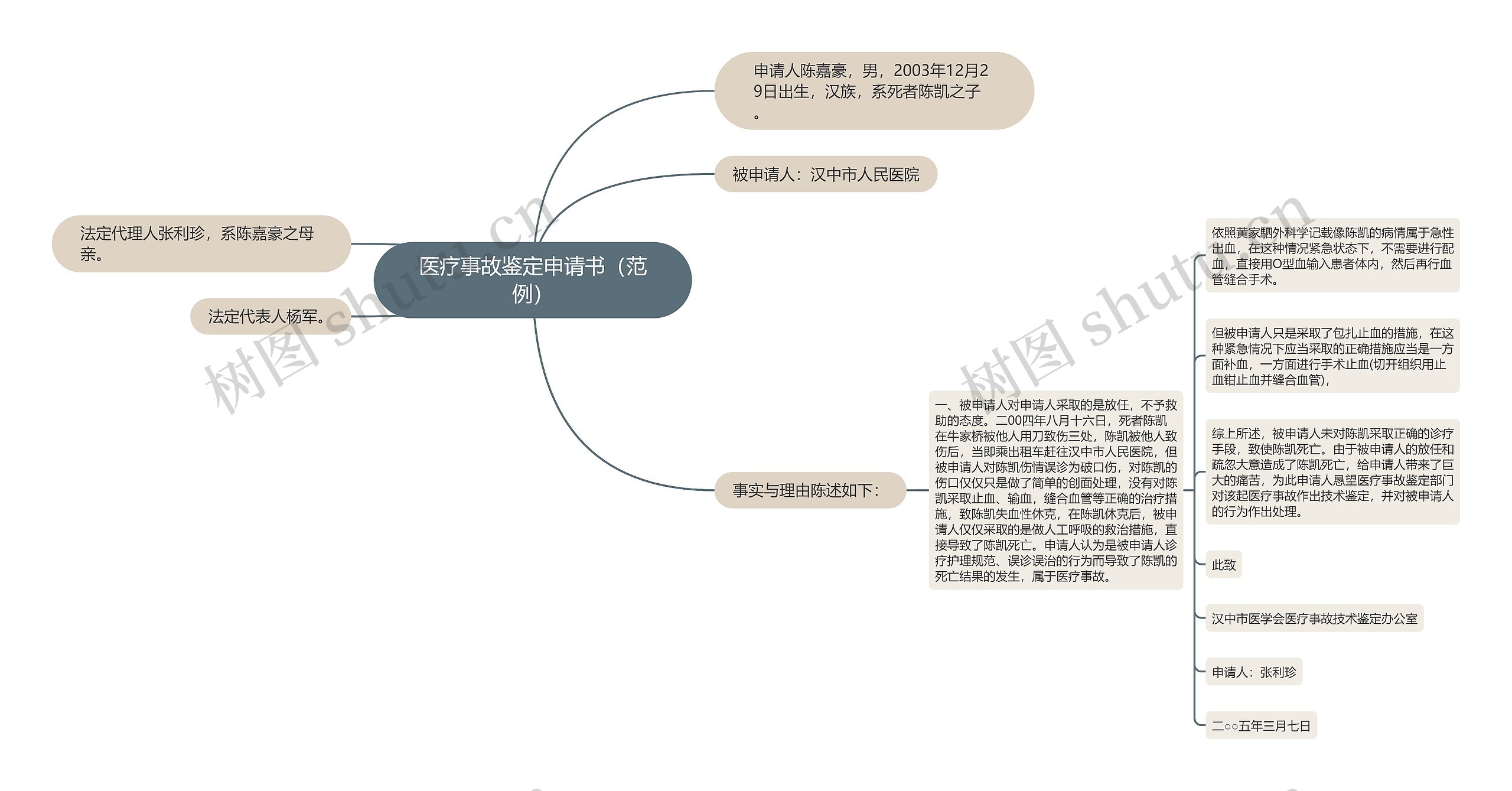 医疗事故鉴定申请书（范例）思维导图