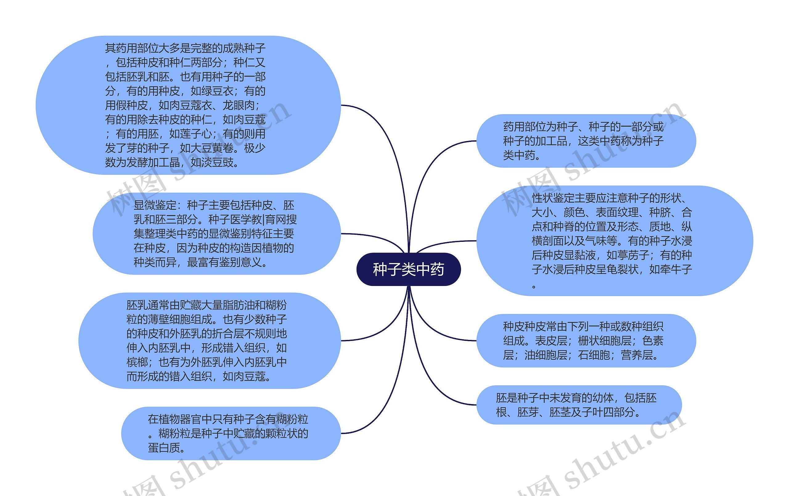 种子类中药思维导图