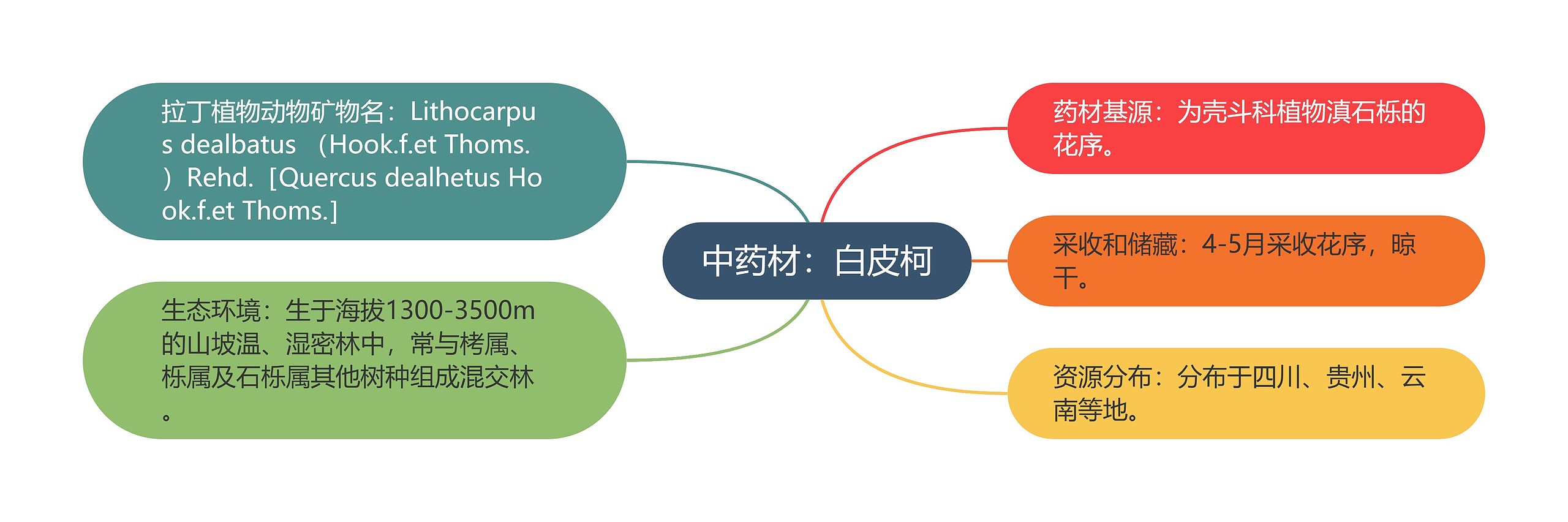 中药材:白皮柯 中药材:白皮柯