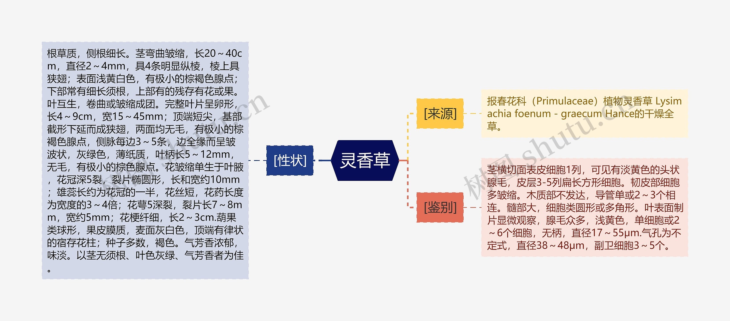 灵香草思维导图