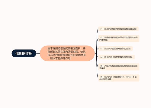 佐剂的作用