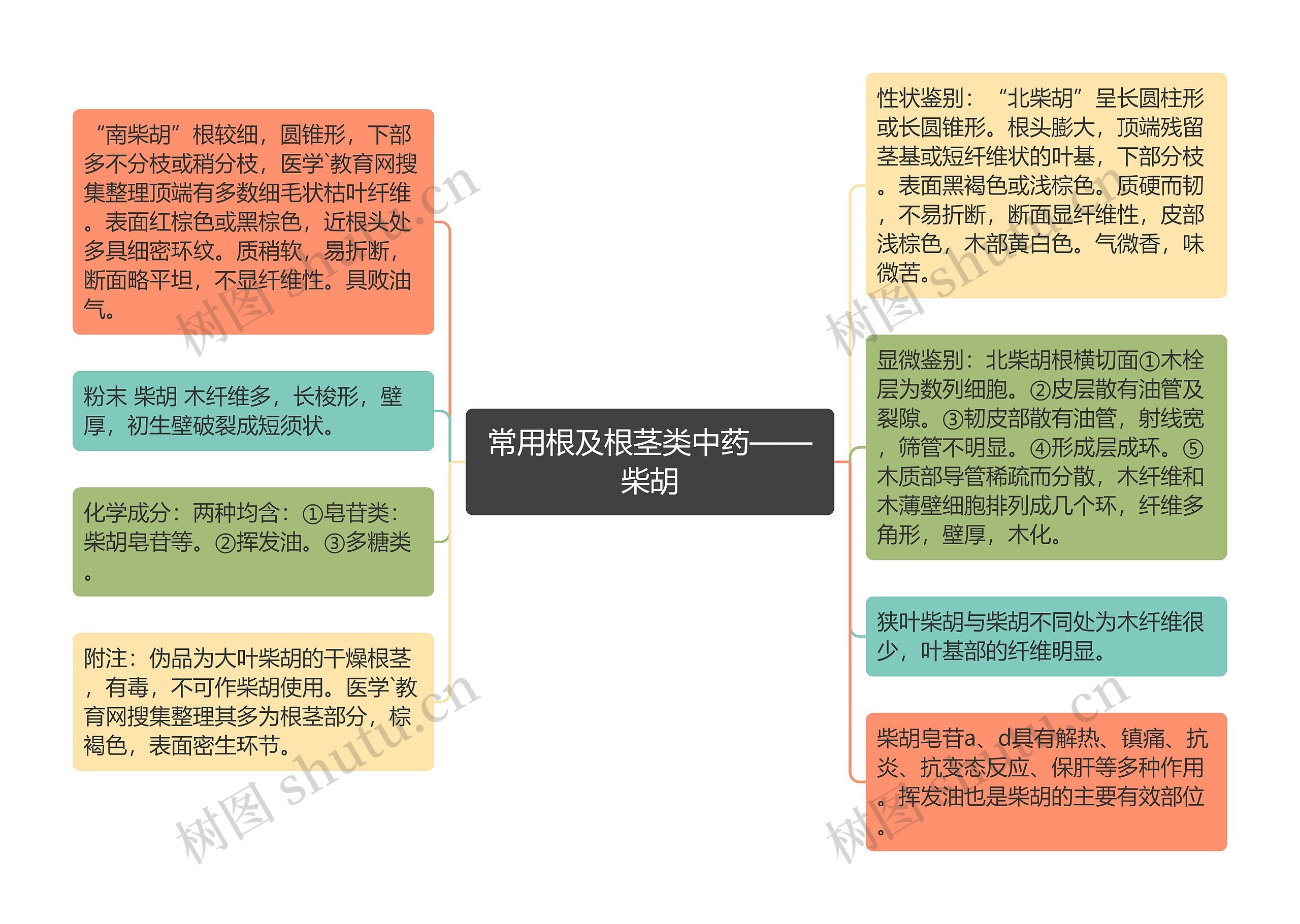 常用根及根茎类中药——柴胡 常用根及根茎类中药——柴胡