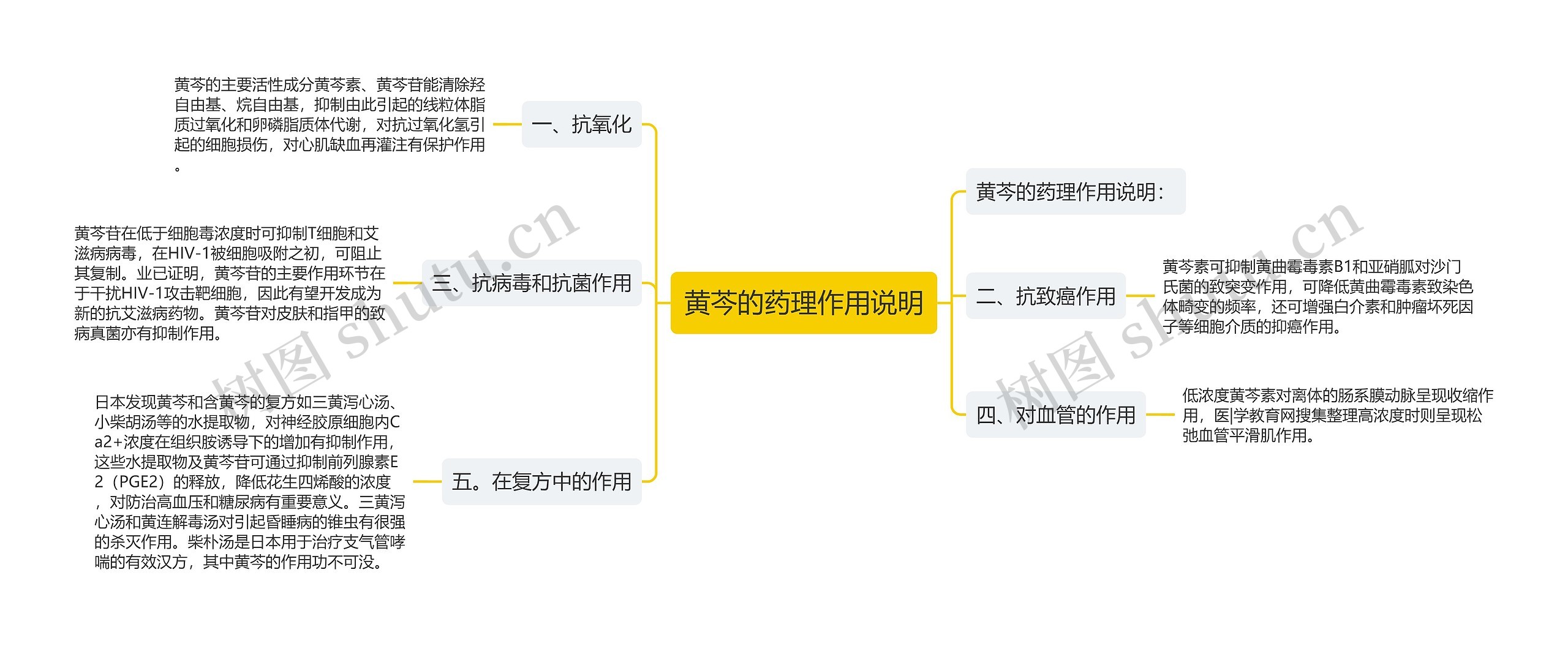 黄芩的药理作用说明思维导图