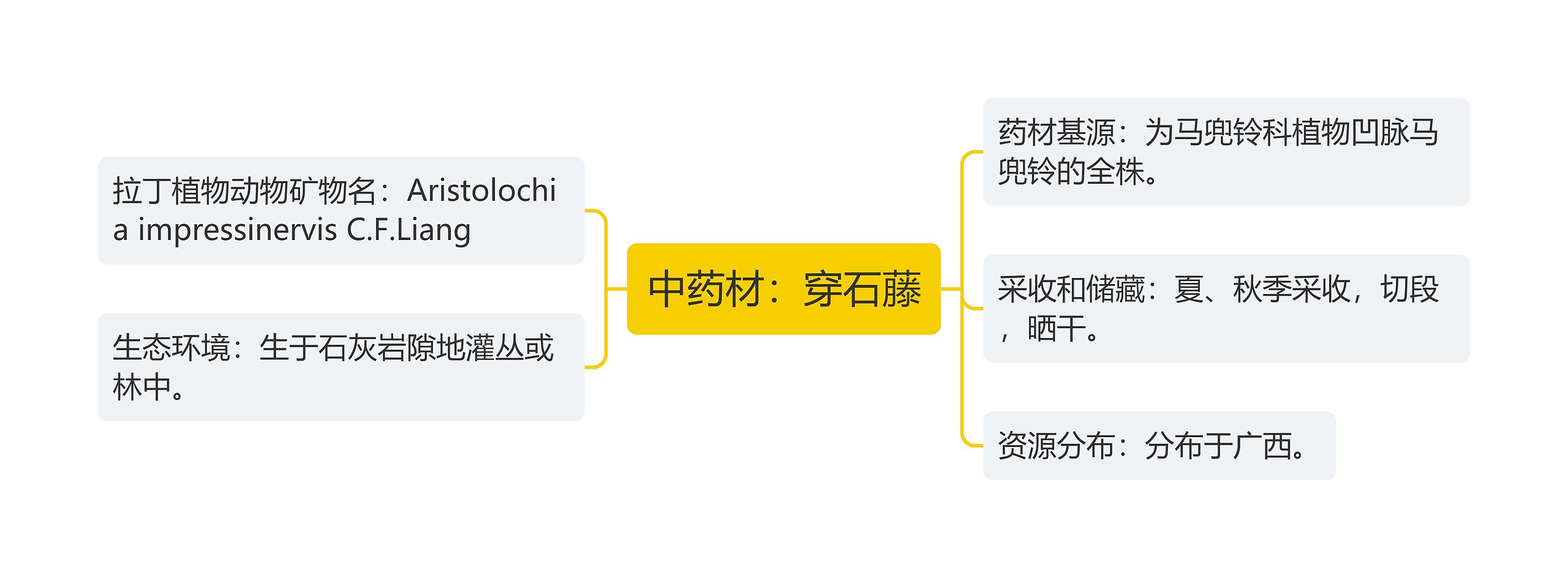 中药材：穿石藤思维导图