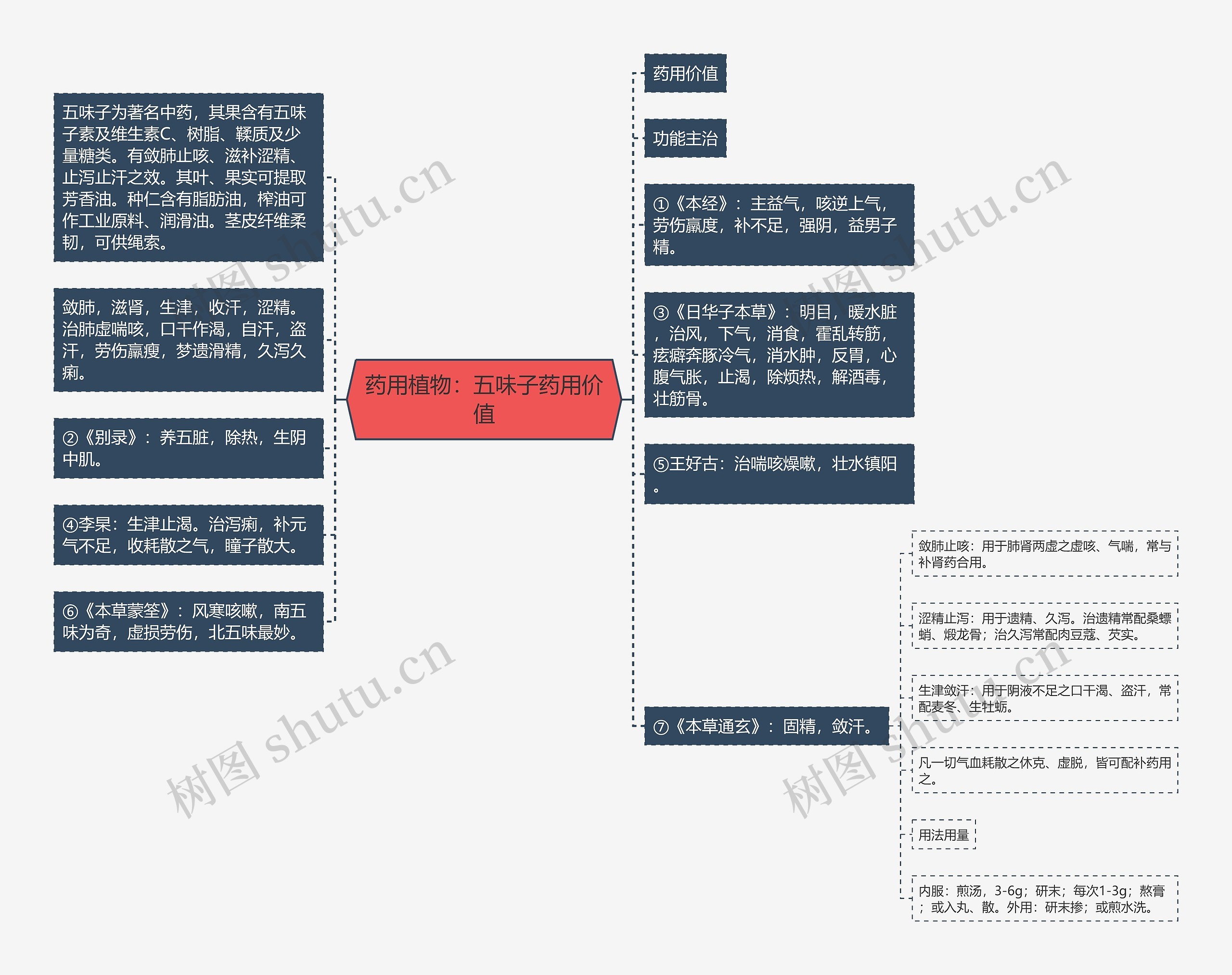 药用植物：五味子药用价值思维导图