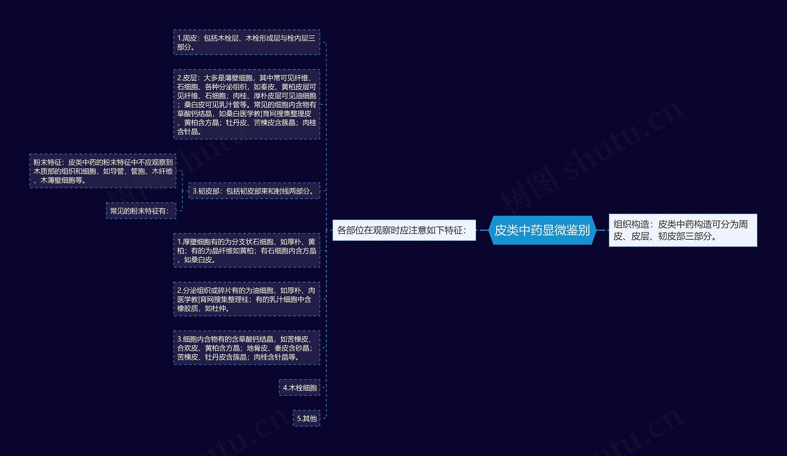 皮类中药显微鉴别思维导图