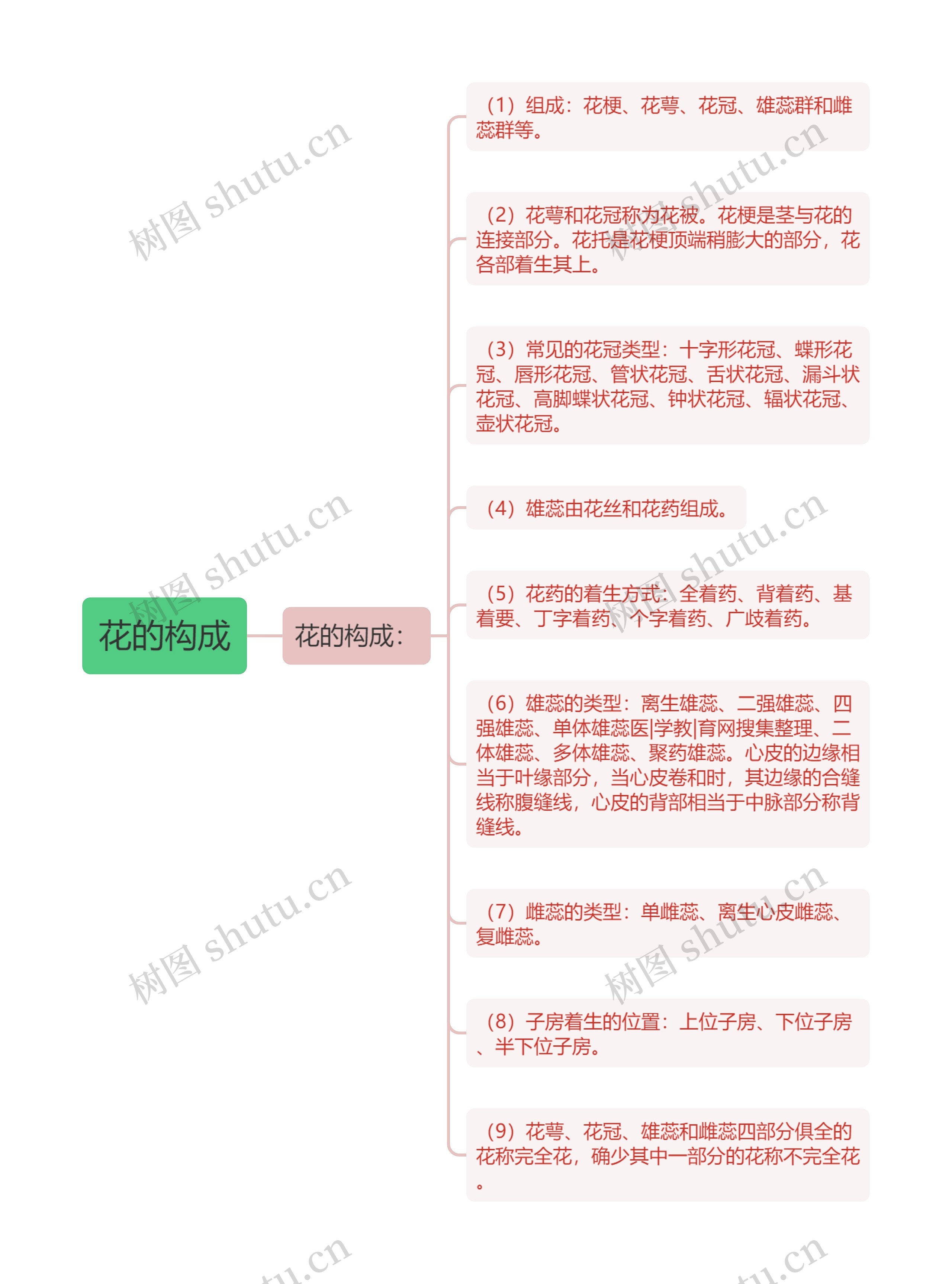 花的构成 花的构成