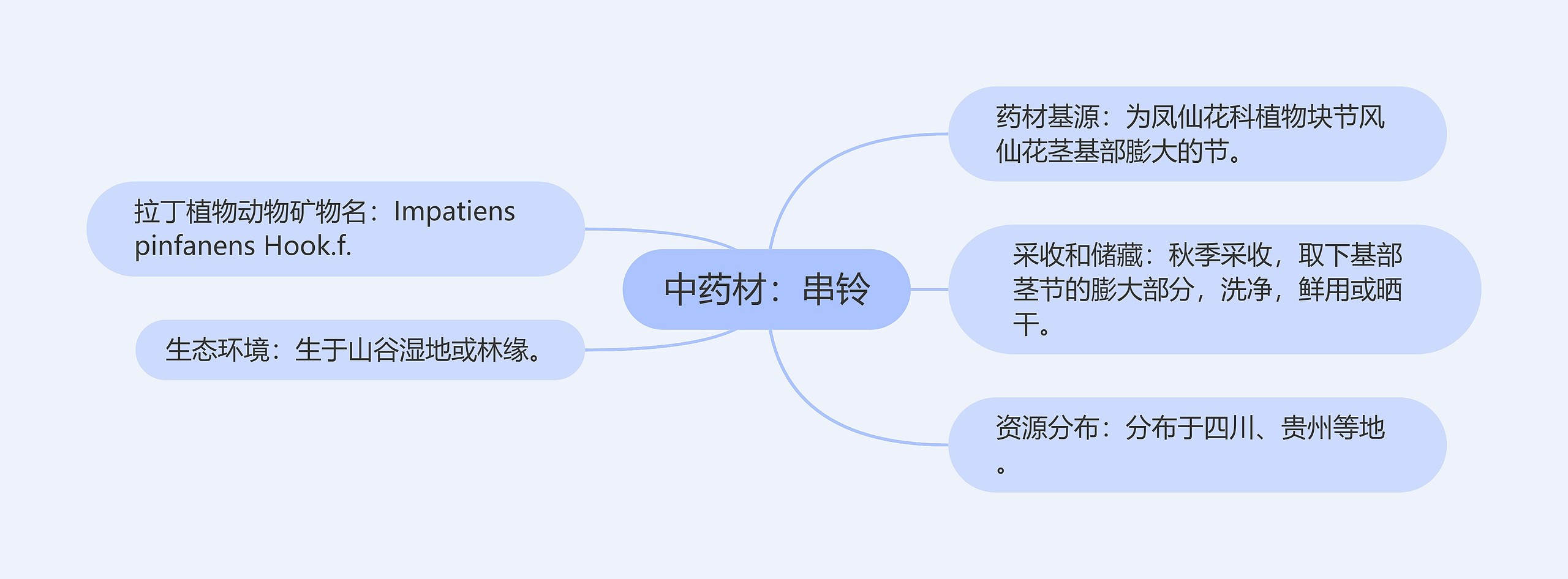中药材:串铃 中药材:串铃