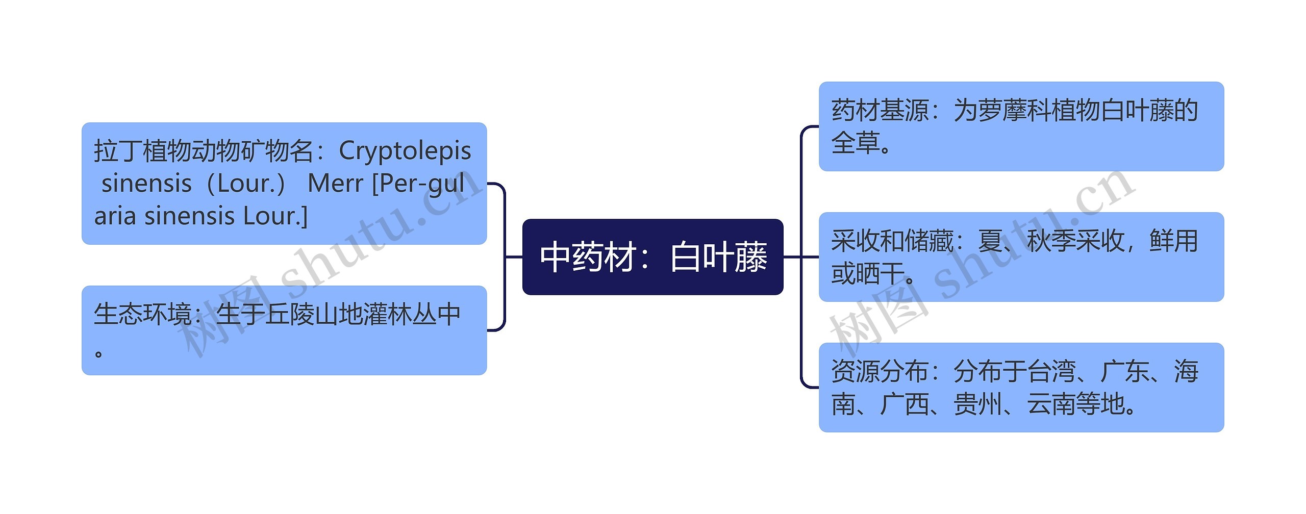 中药材：白叶藤思维导图