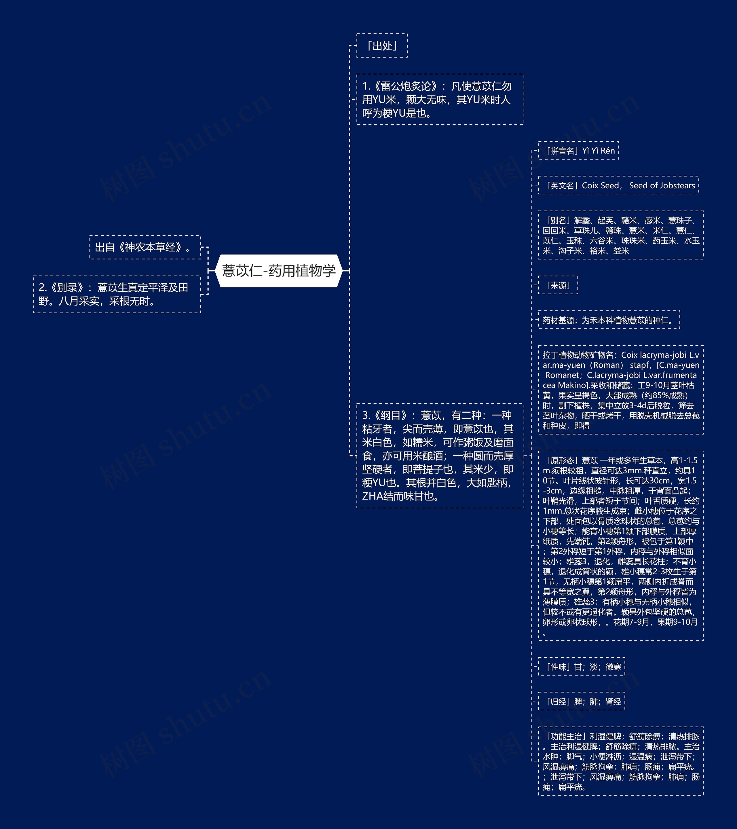 薏苡仁-药用植物学思维导图