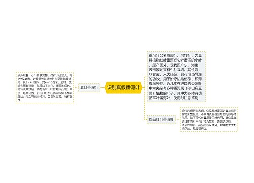 识别真假番泻叶