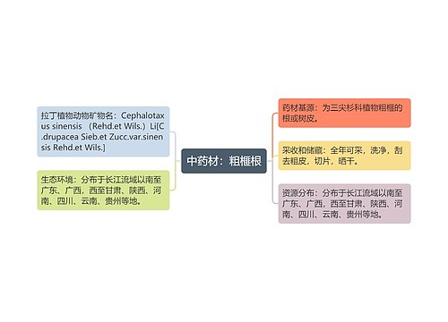 中药材：粗榧根