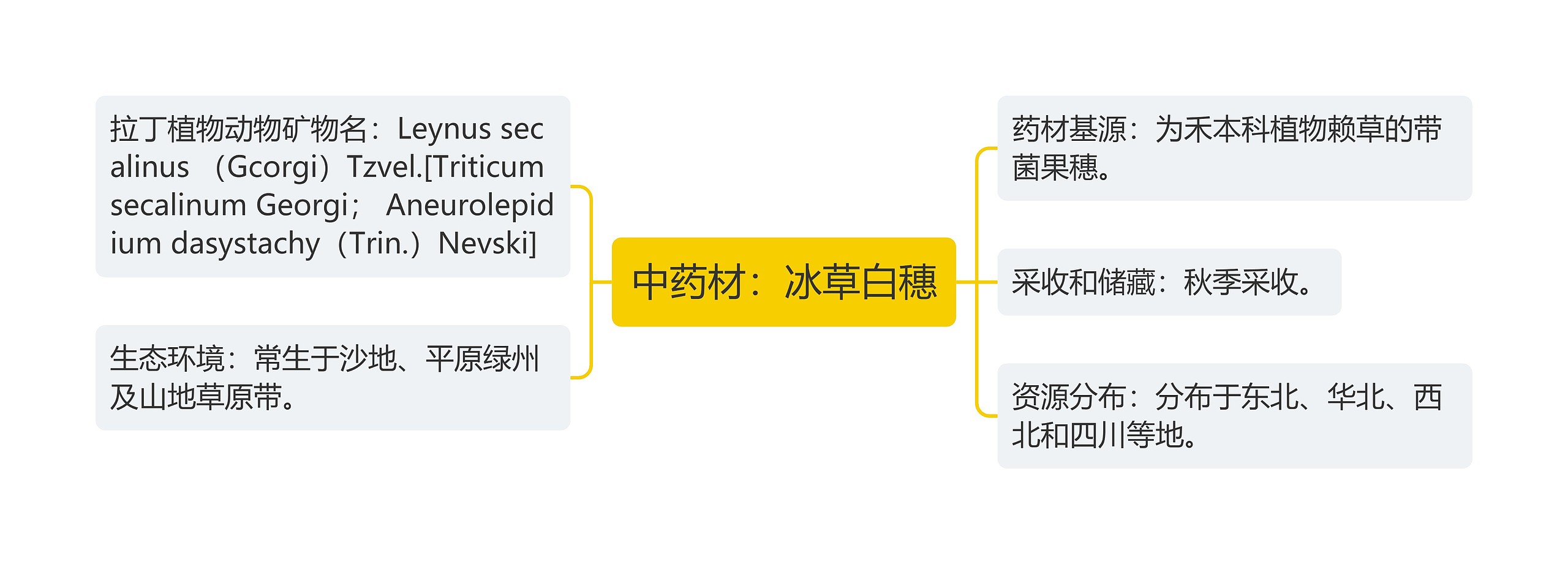 中药材：冰草白穗思维导图