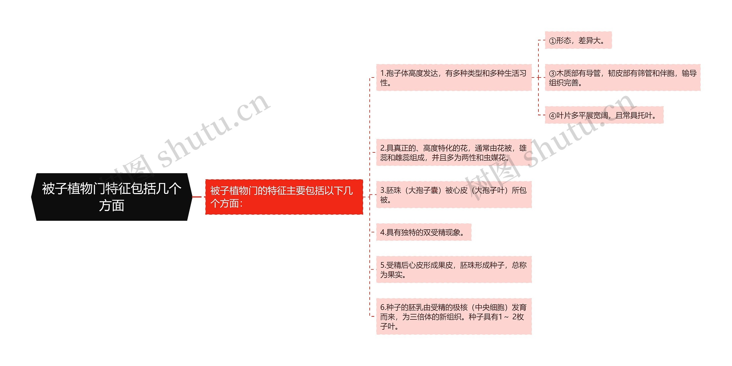 被子植物门特征包括几个方面 被子植物门特征包括几个方面