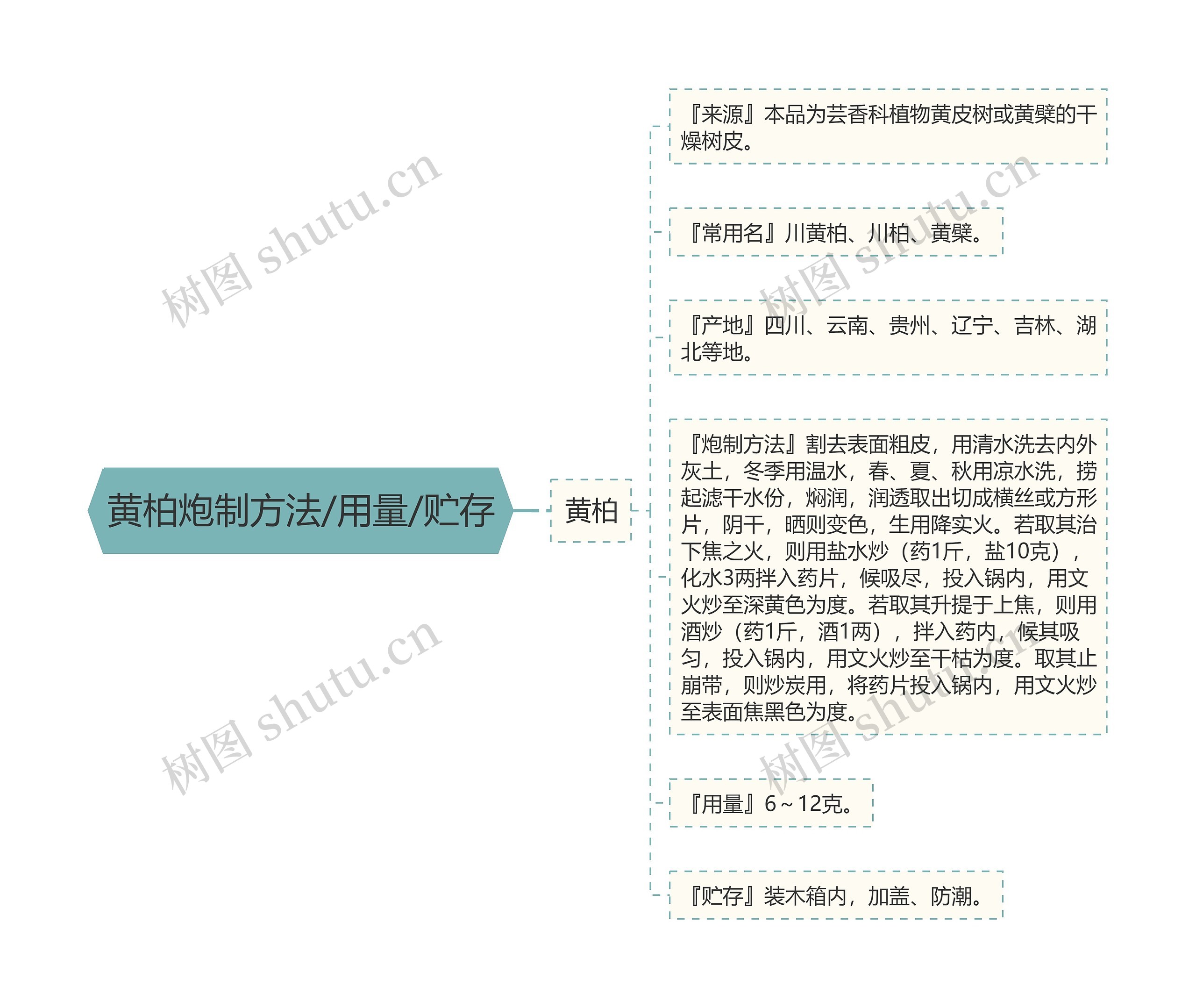 黄柏炮制方法/用量/贮存思维导图