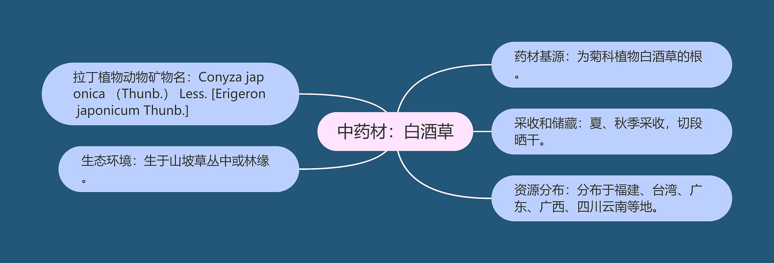 中药材:白酒草 中药材:白酒草