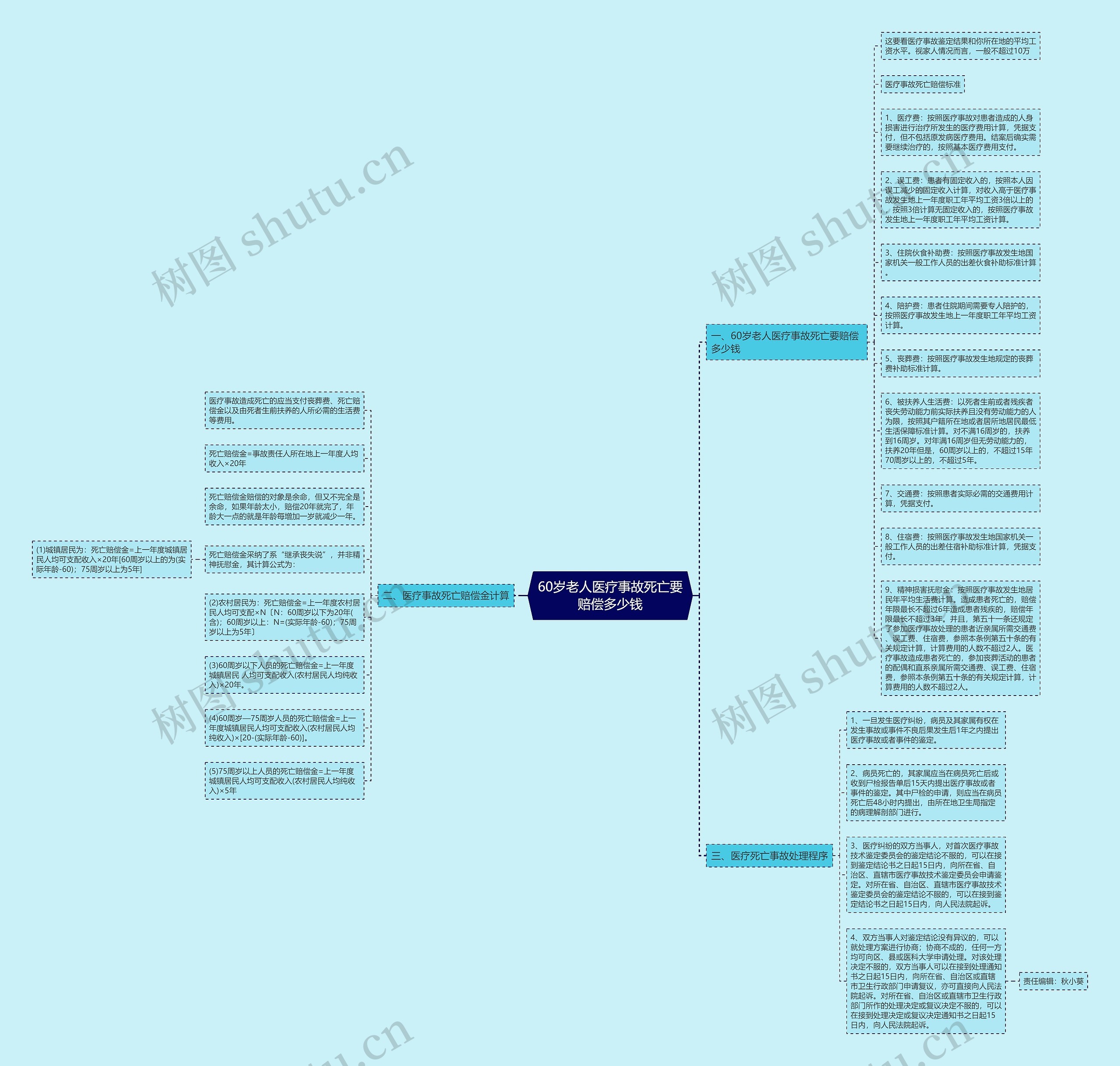 60岁老人医疗事故死亡要赔偿多少钱思维导图