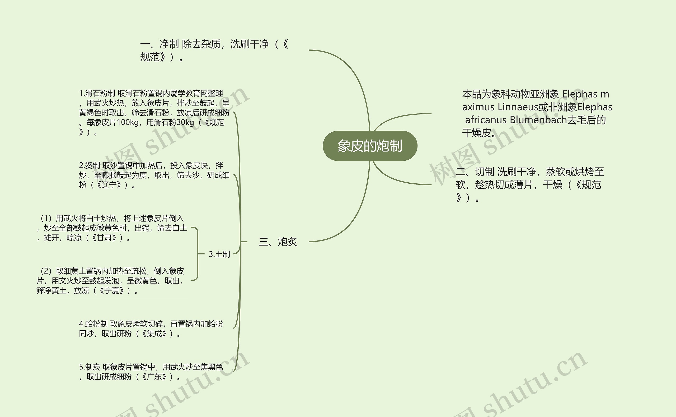 象皮的炮制