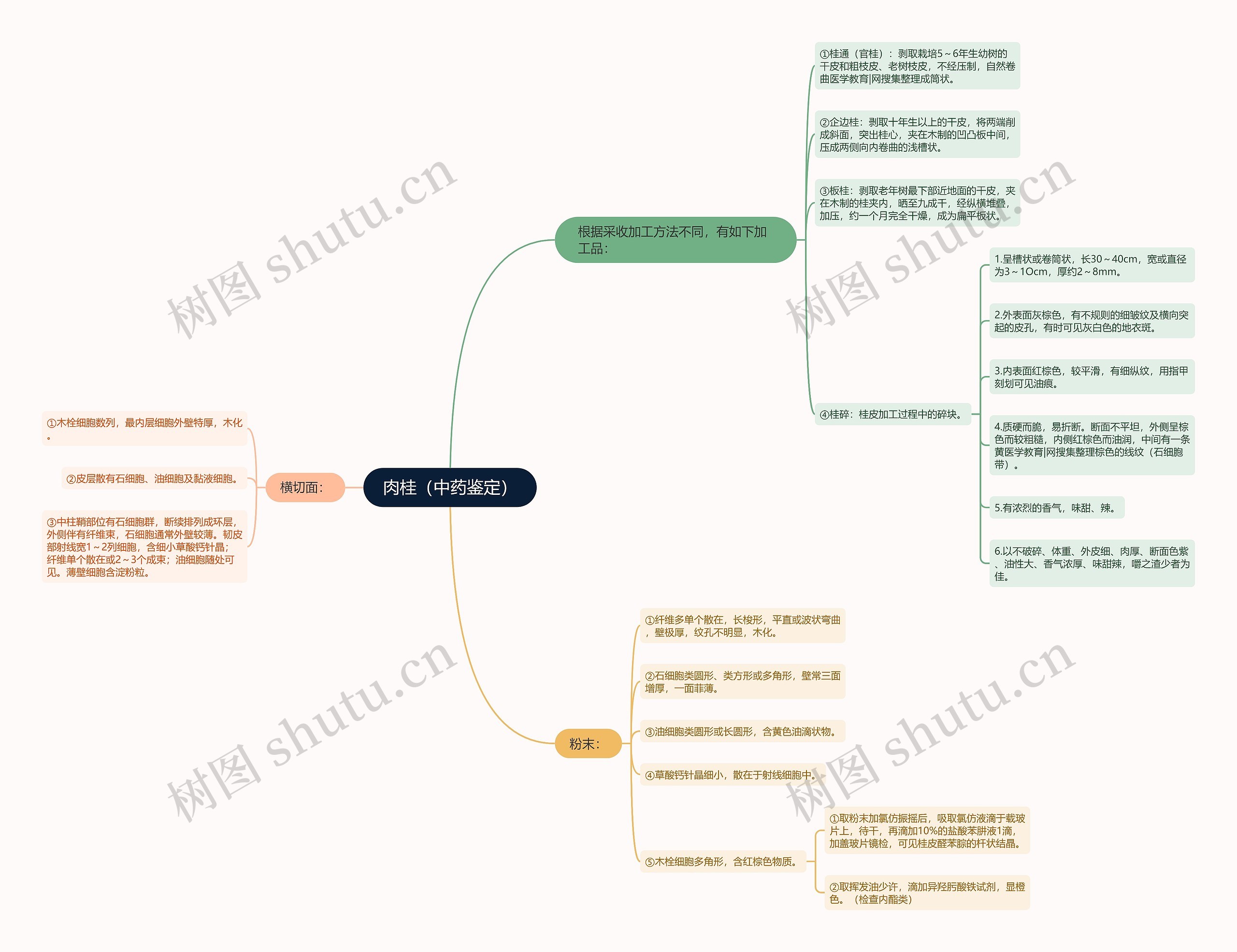 肉桂（中药鉴定）思维导图