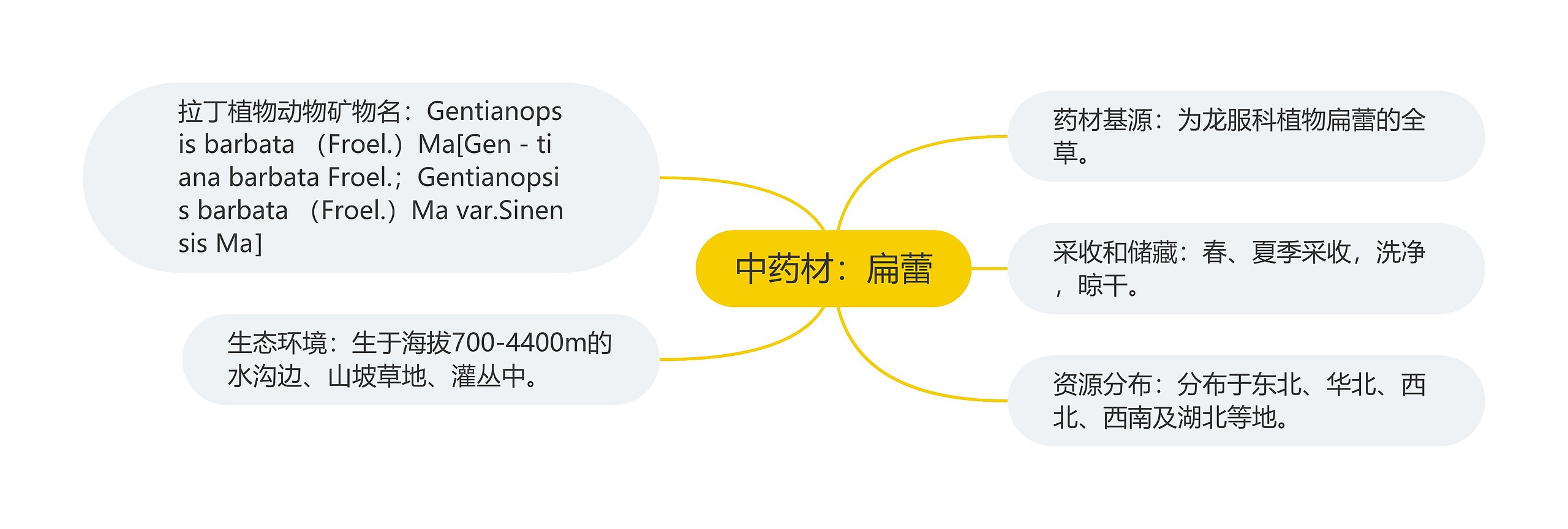 中药材：扁蕾思维导图