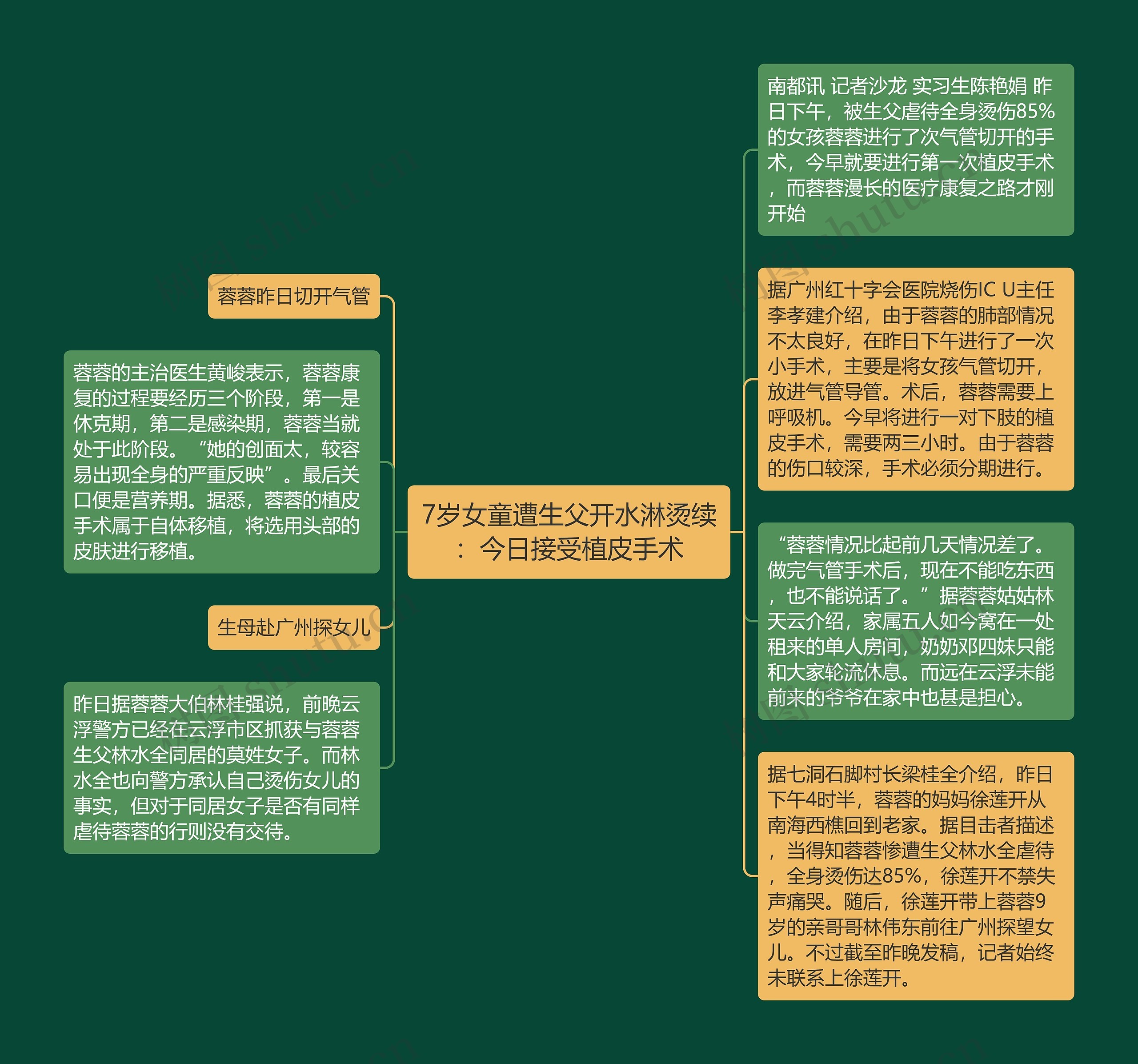 7岁女童遭生父开水淋烫续：今日接受植皮手术思维导图