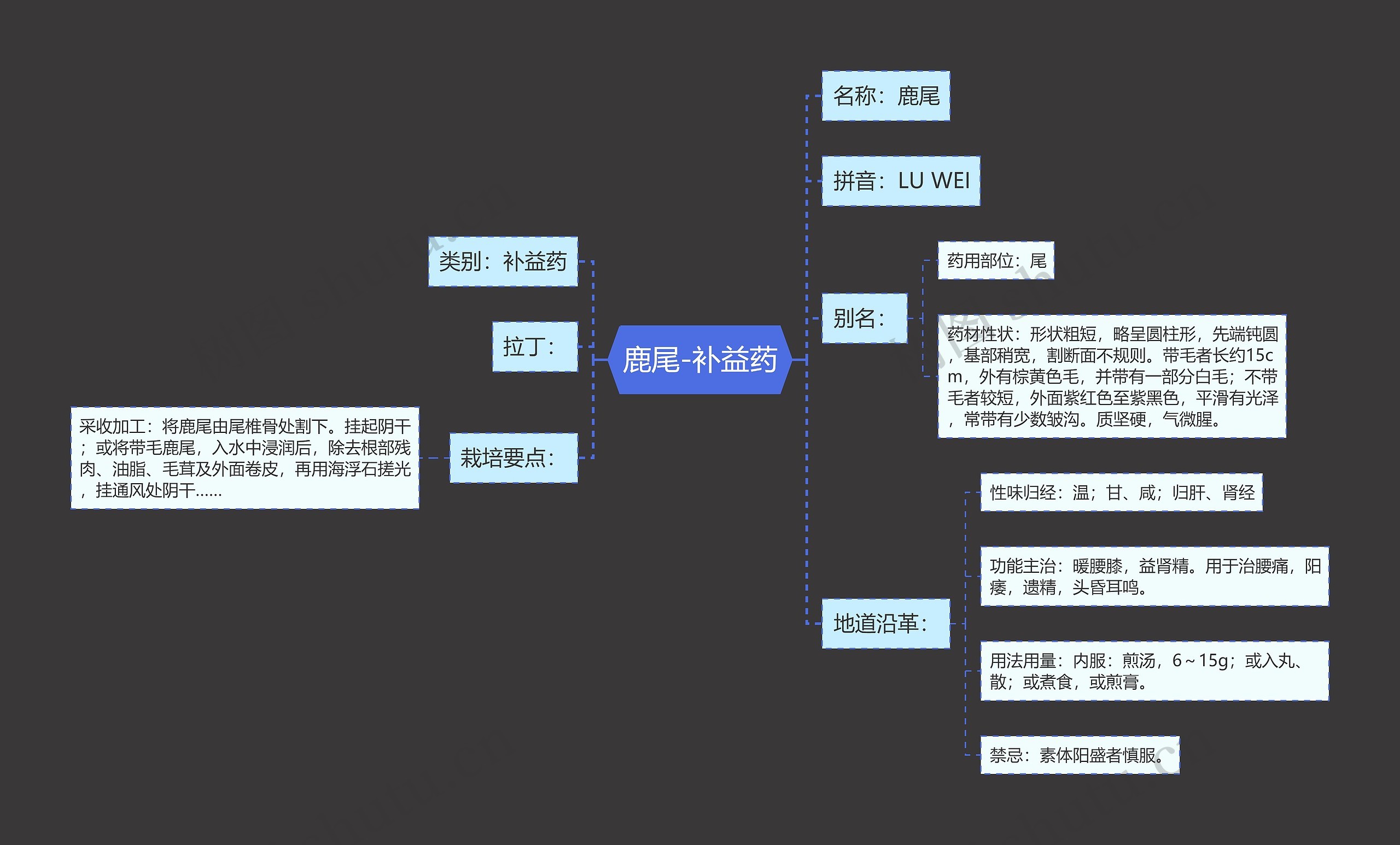 鹿尾-补益药思维导图