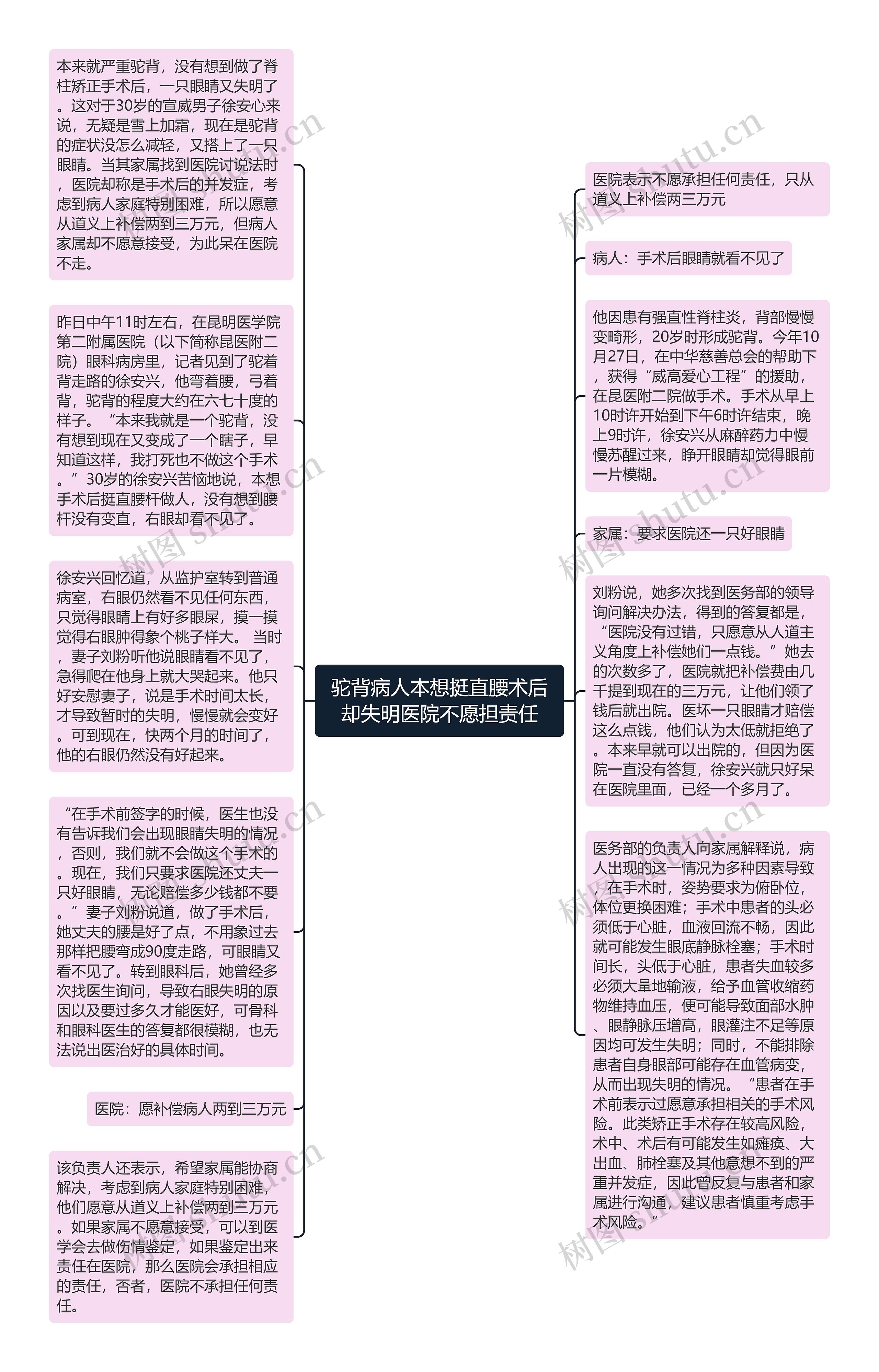 驼背病人本想挺直腰术后却失明医院不愿担责任思维导图