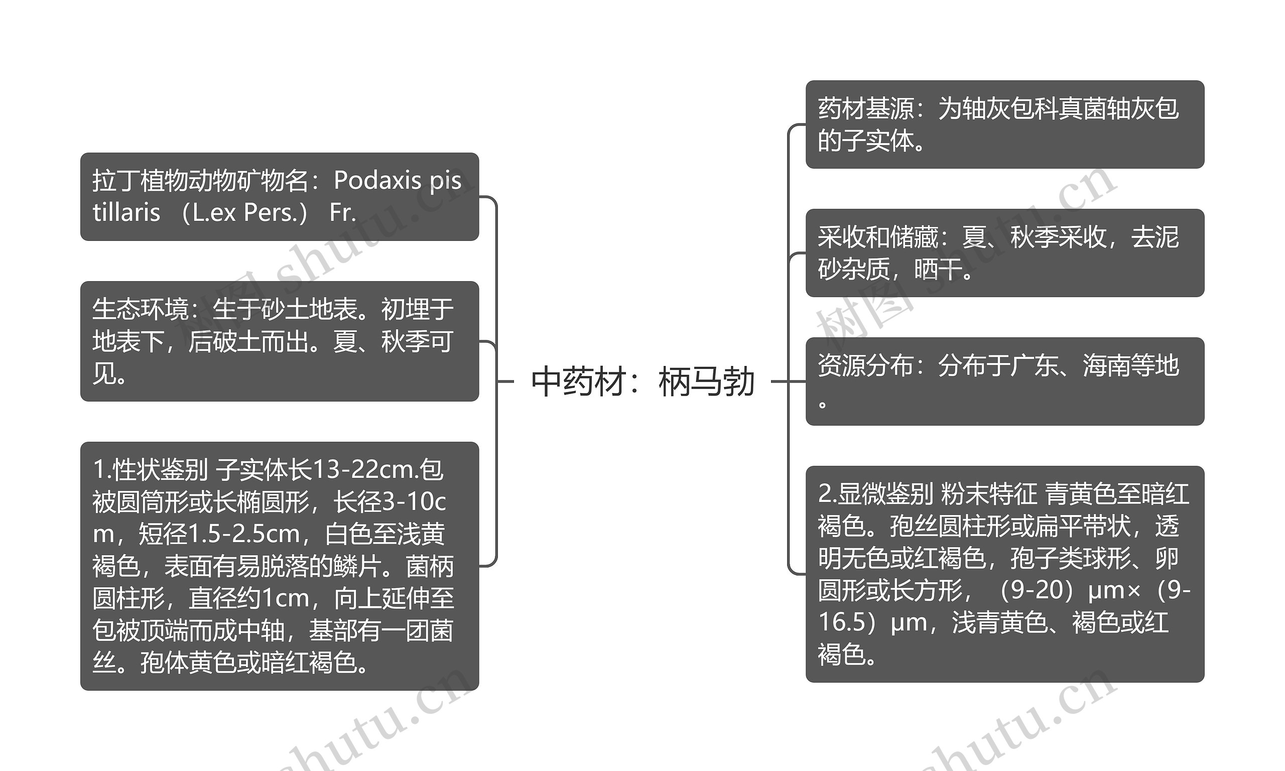 中药材：柄马勃思维导图