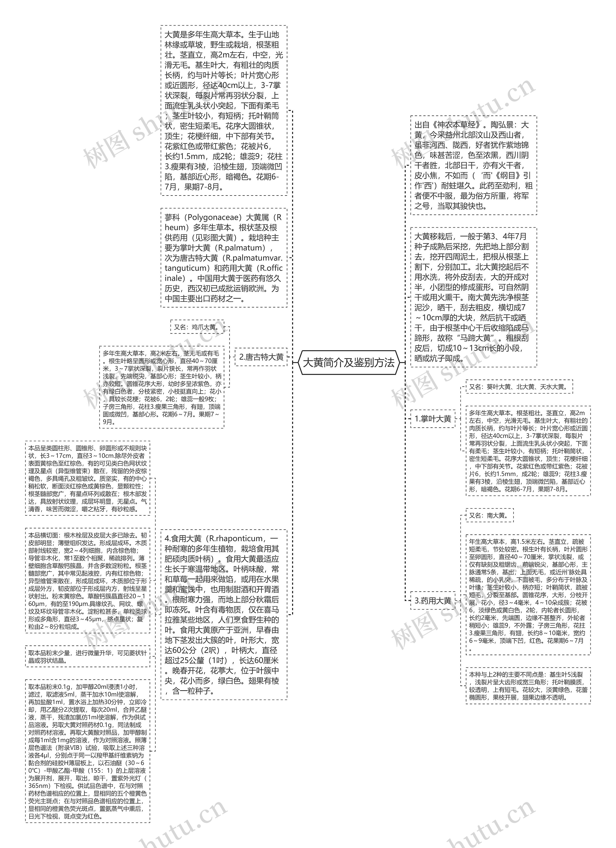 大黄简介及鉴别方法思维导图