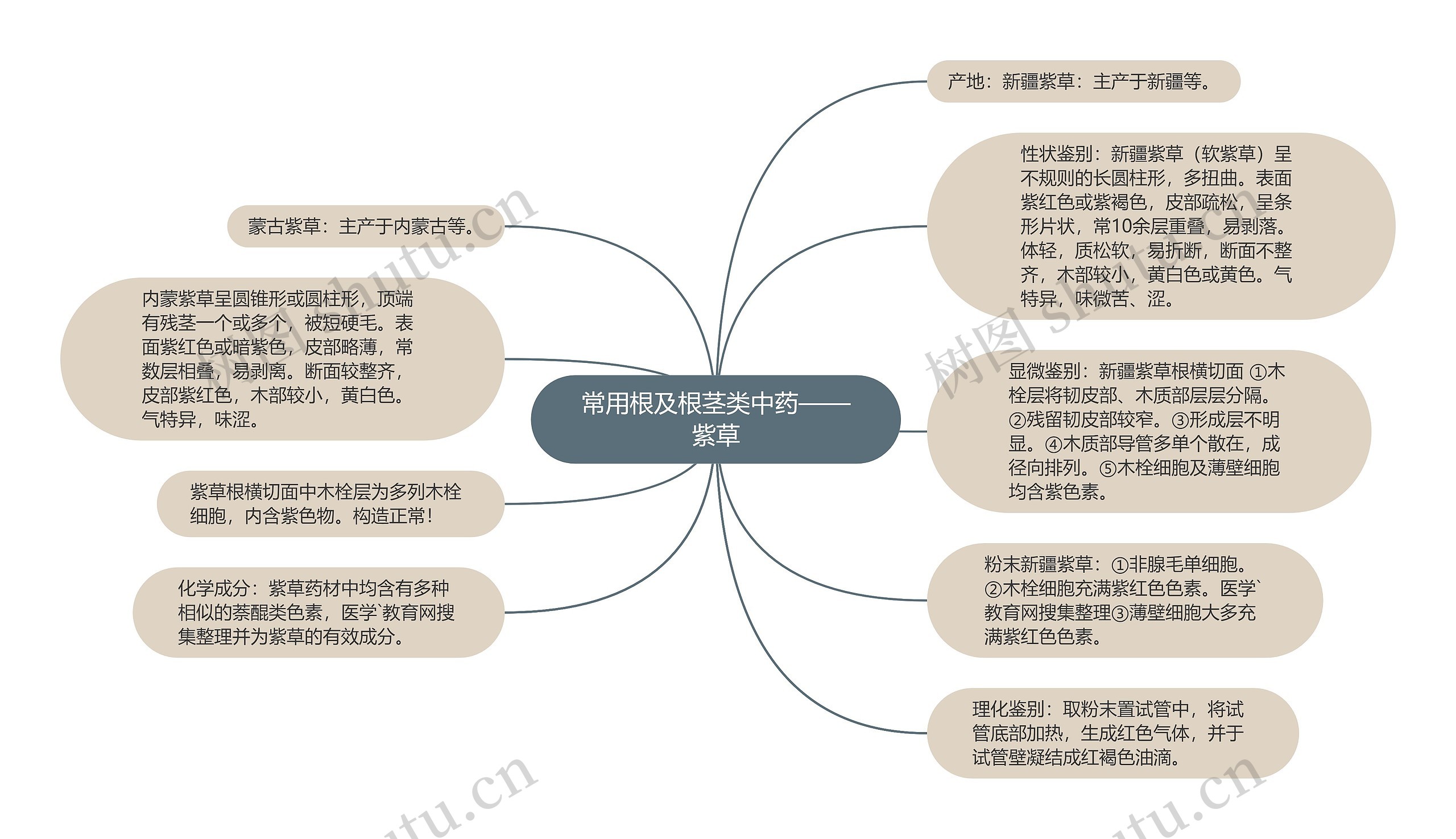 常用根及根茎类中药——紫草思维导图