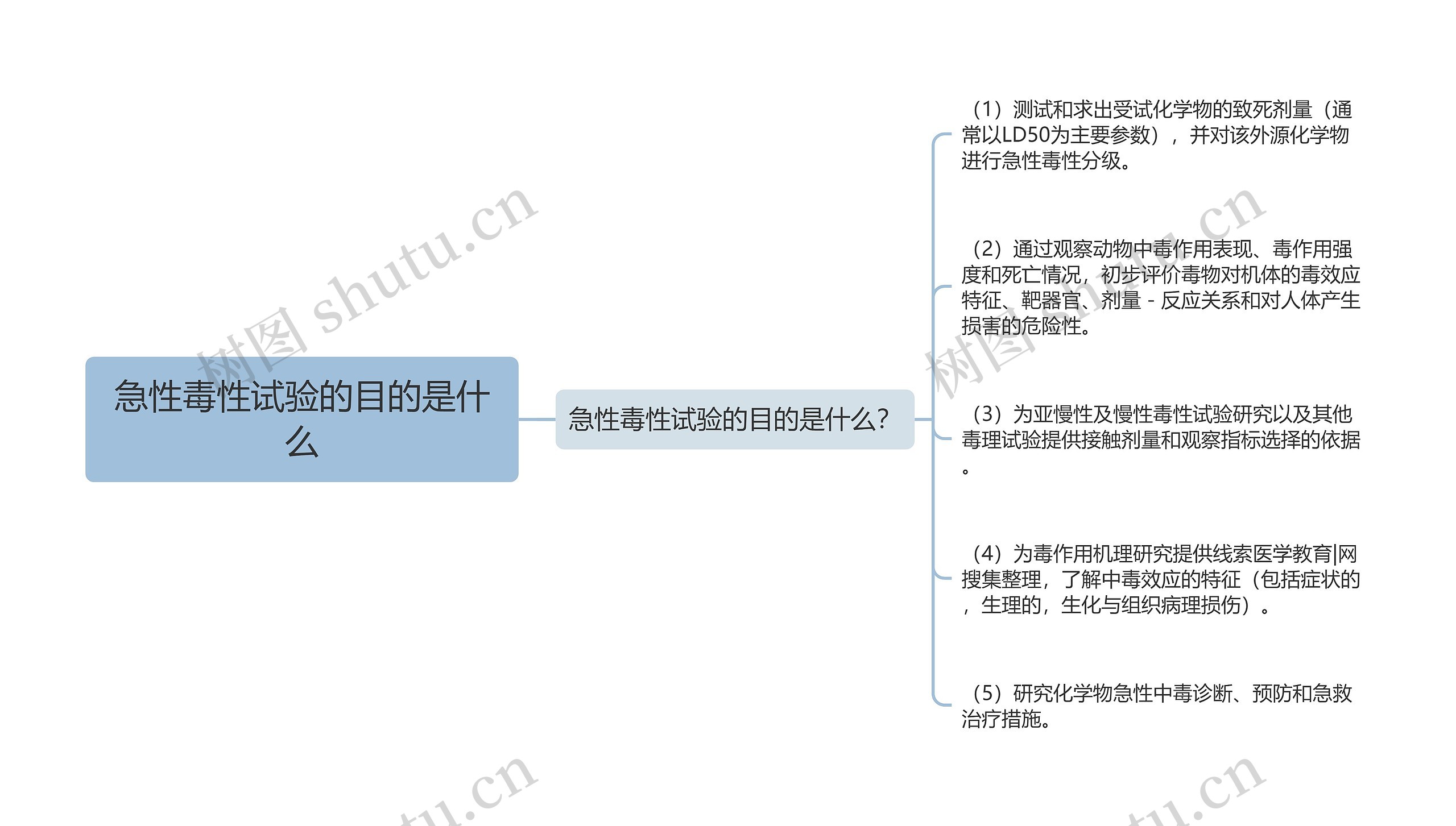 急性毒性试验的目的是什么思维导图