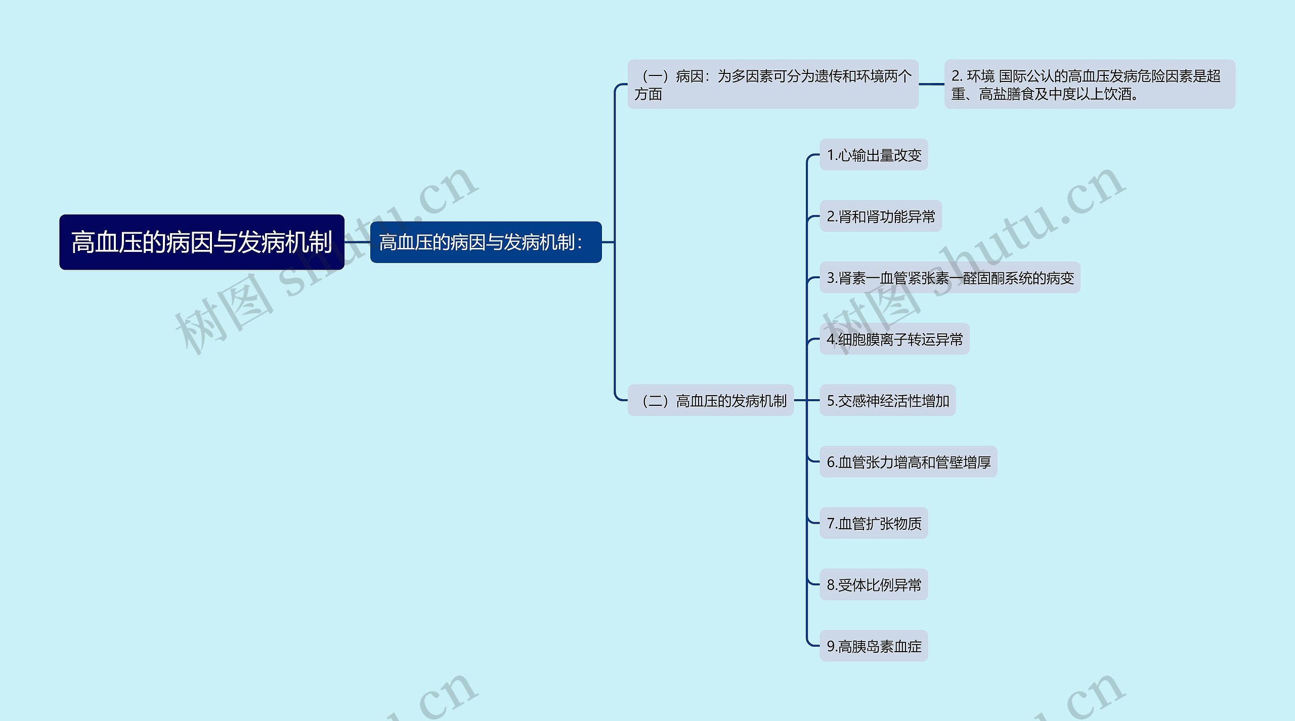 高血压的病因与发病机制
