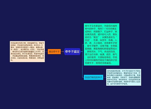 牵牛子鉴定思维导图