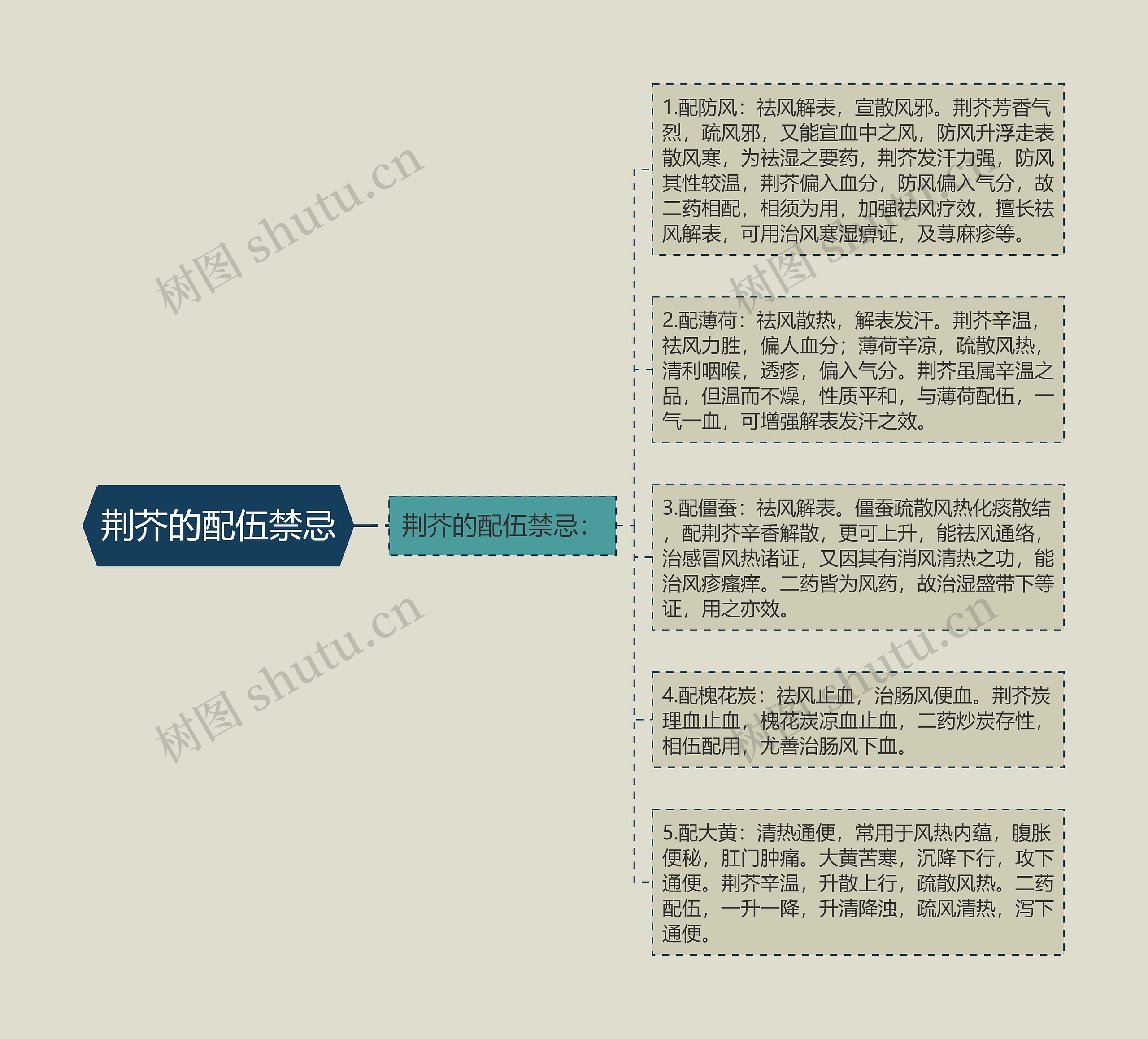 荆芥的配伍禁忌思维导图