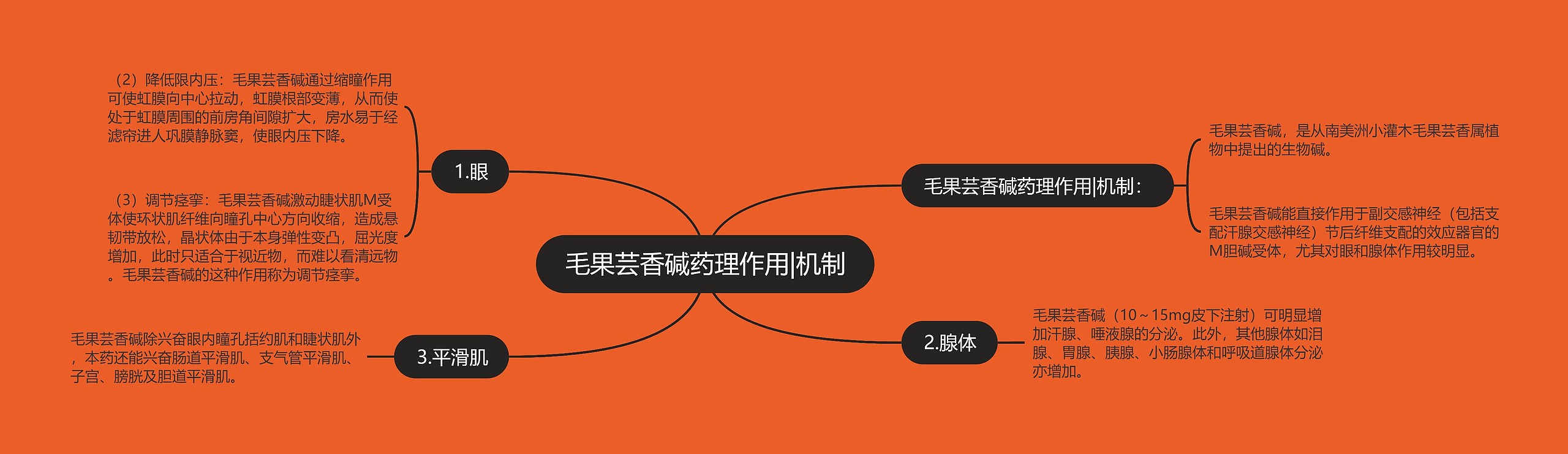 毛果芸香碱药理作用|机制 毛果芸香碱药理作用|机制