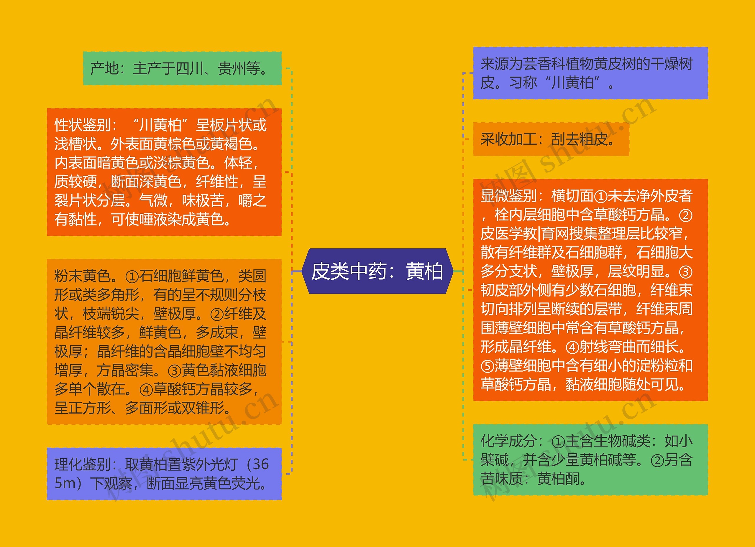 皮类中药:黄柏 皮类中药:黄柏